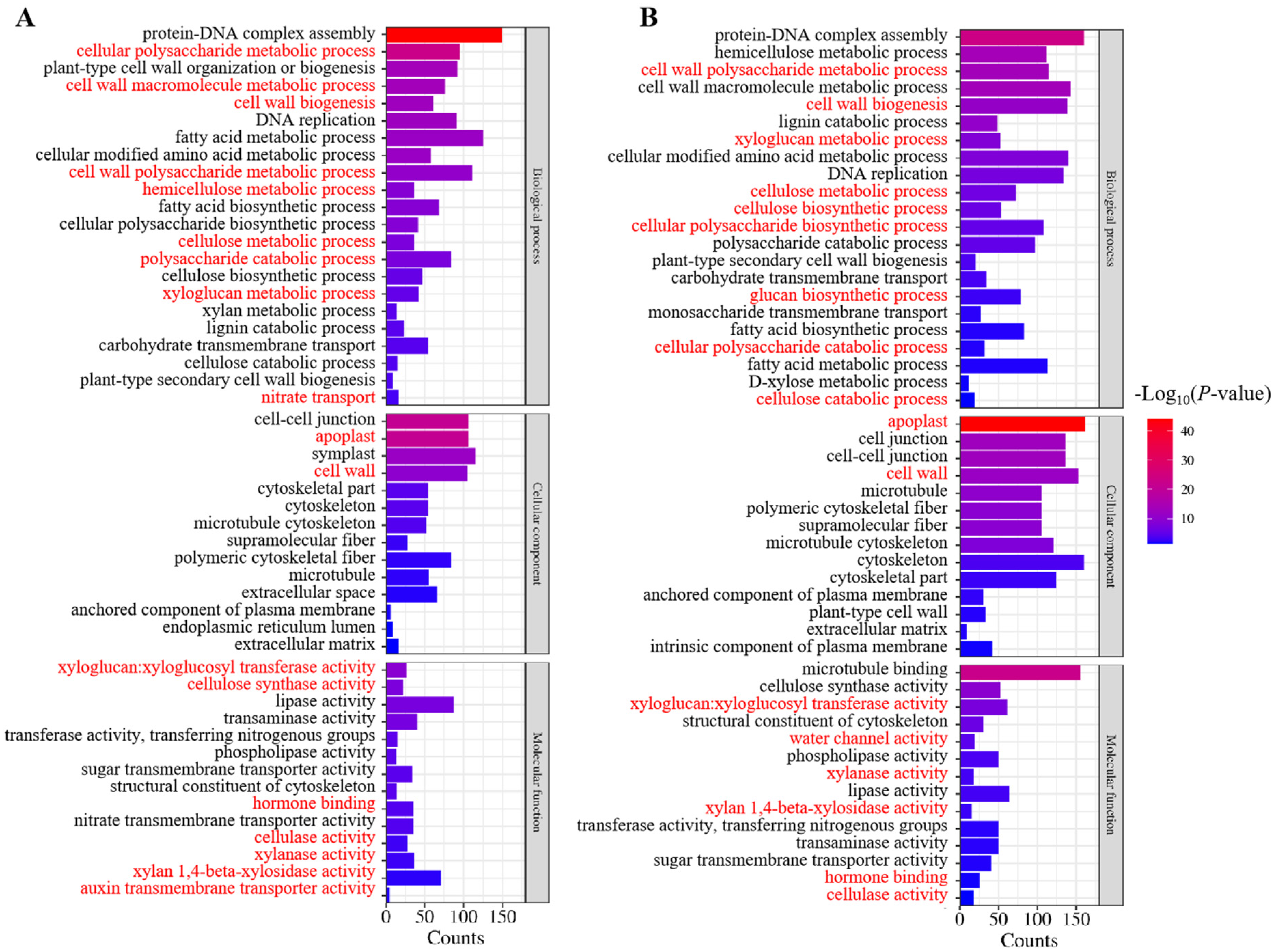 Ijms 25 09566 g004 Ijms 25 09566 g004