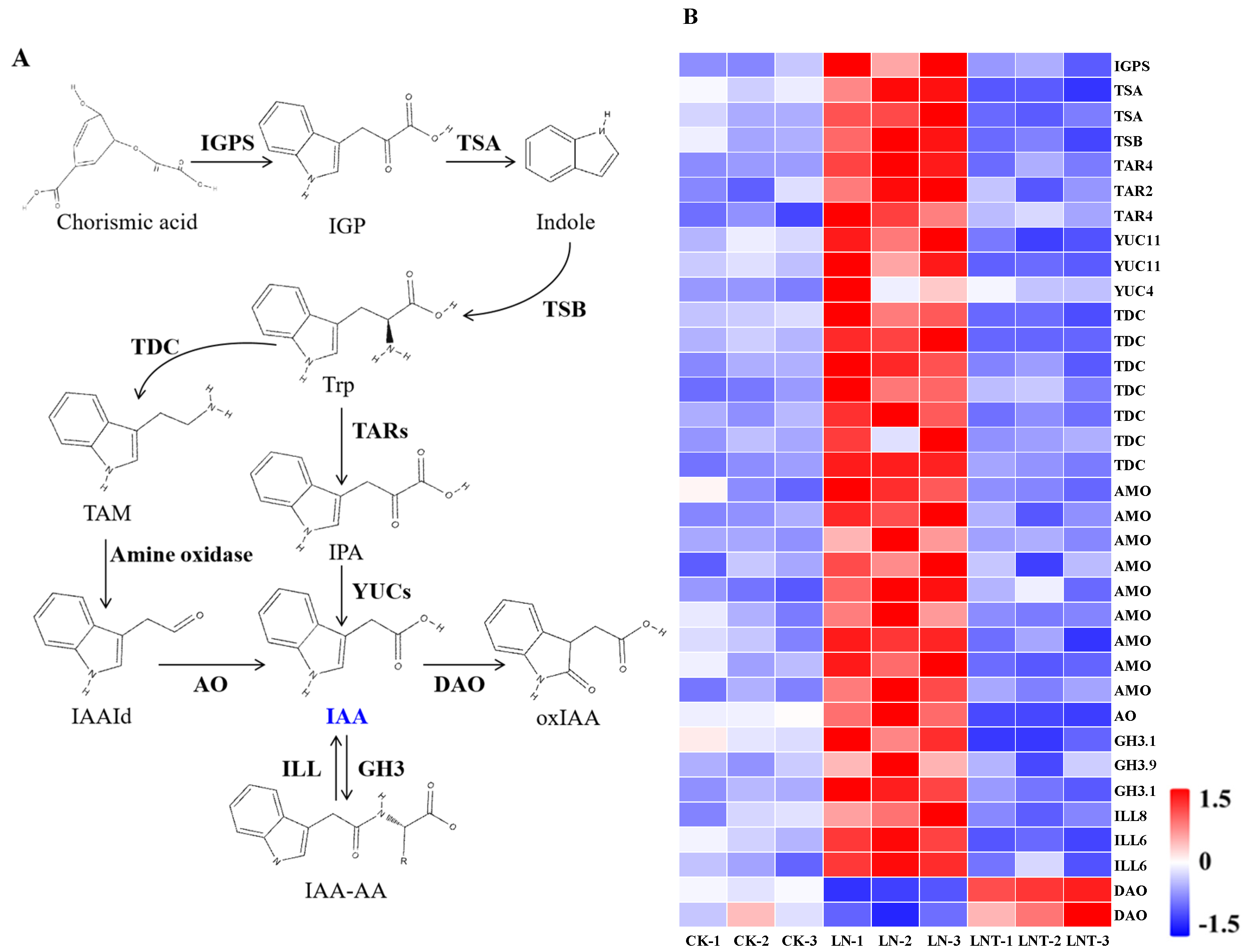 Ijms 25 09566 g006 Ijms 25 09566 g006