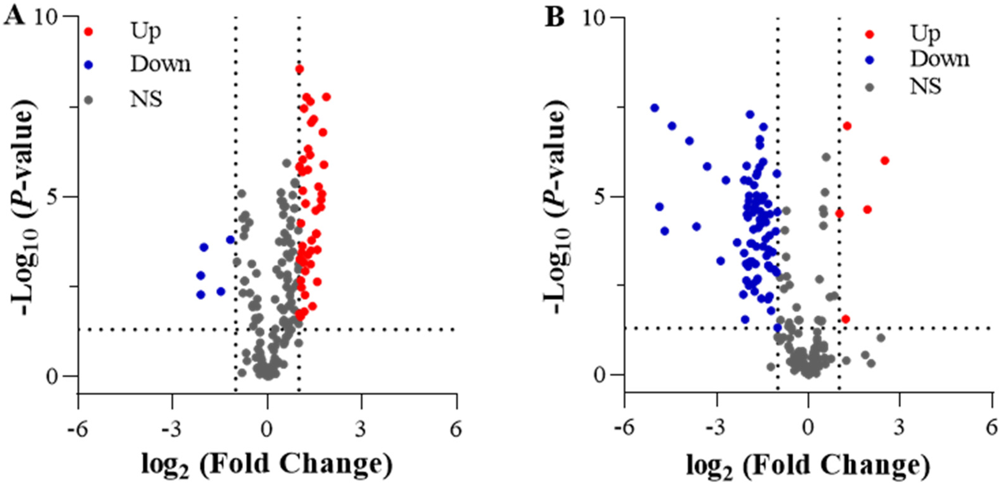 Ijms 25 09566 g008 Ijms 25 09566 g008