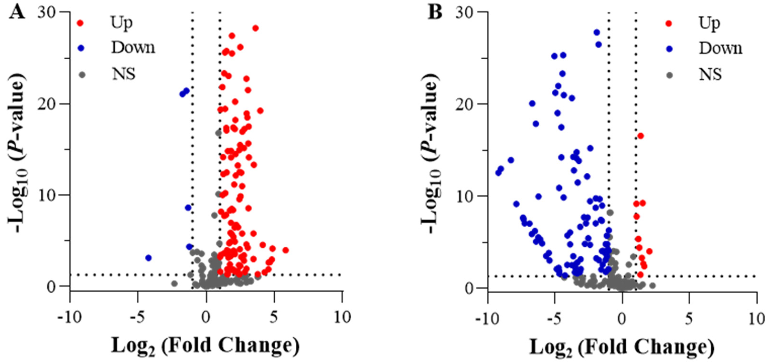 Ijms 25 09566 g009 Ijms 25 09566 g009