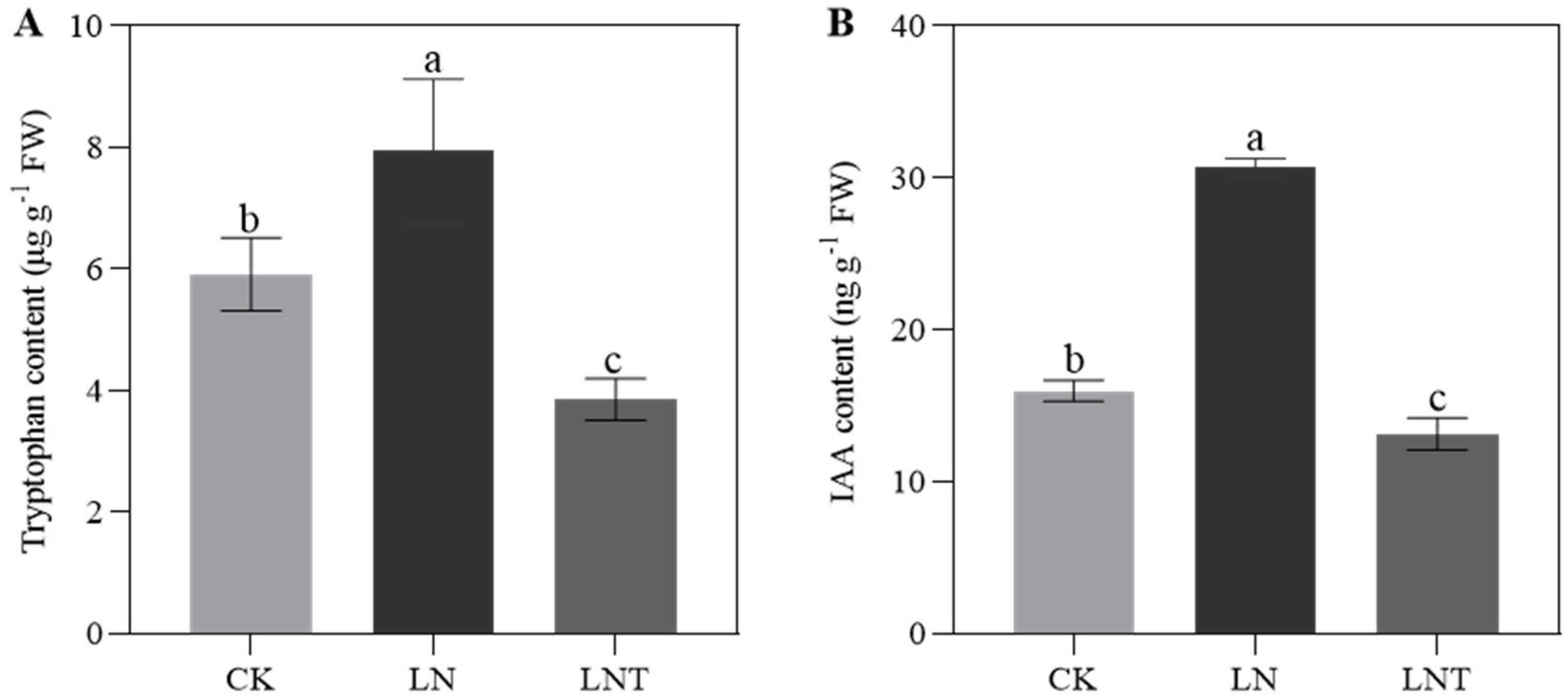 Ijms 25 09566 g011 Ijms 25 09566 g011