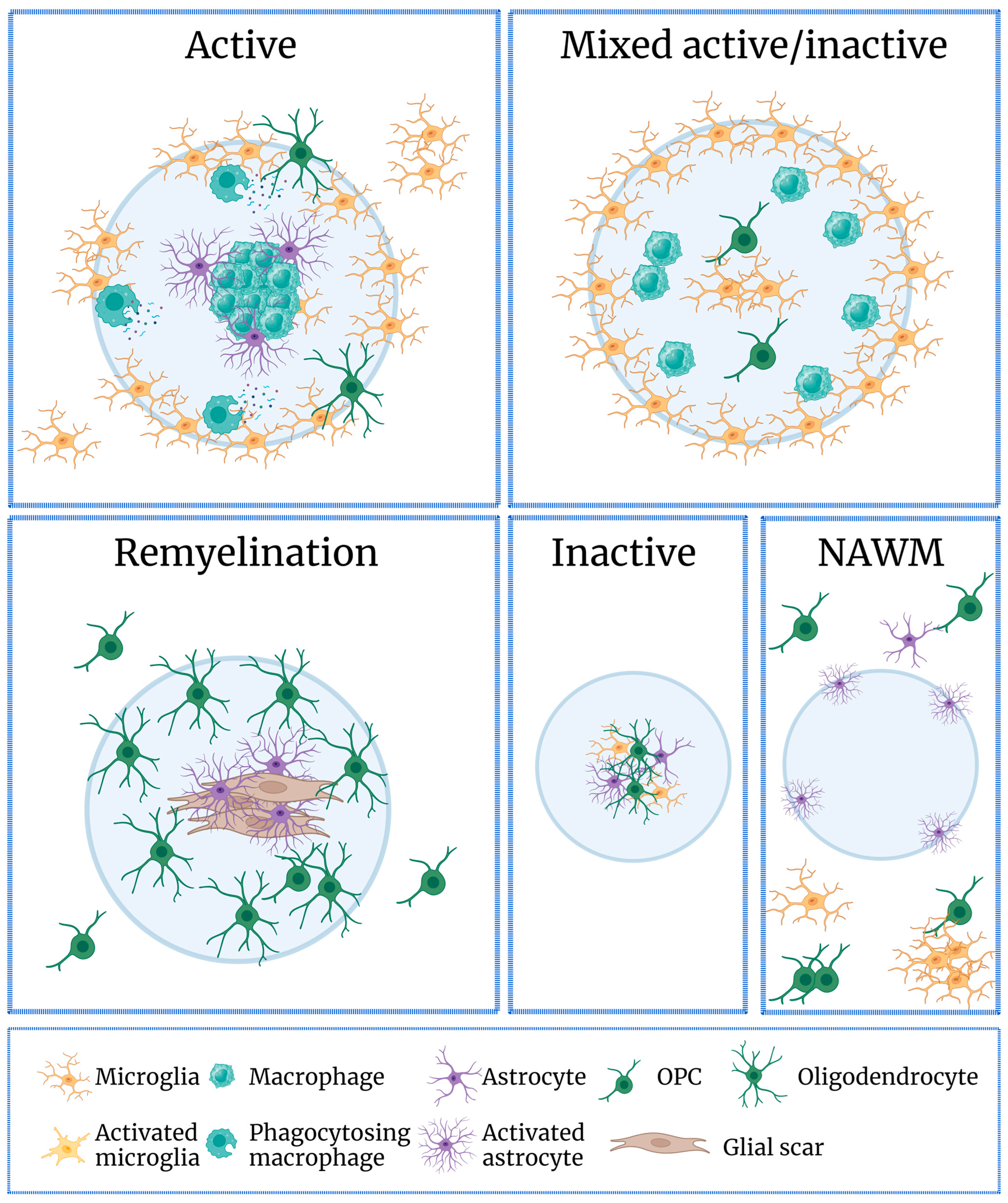 Ijms 25 09588 g001 Ijms 25 09588 g001