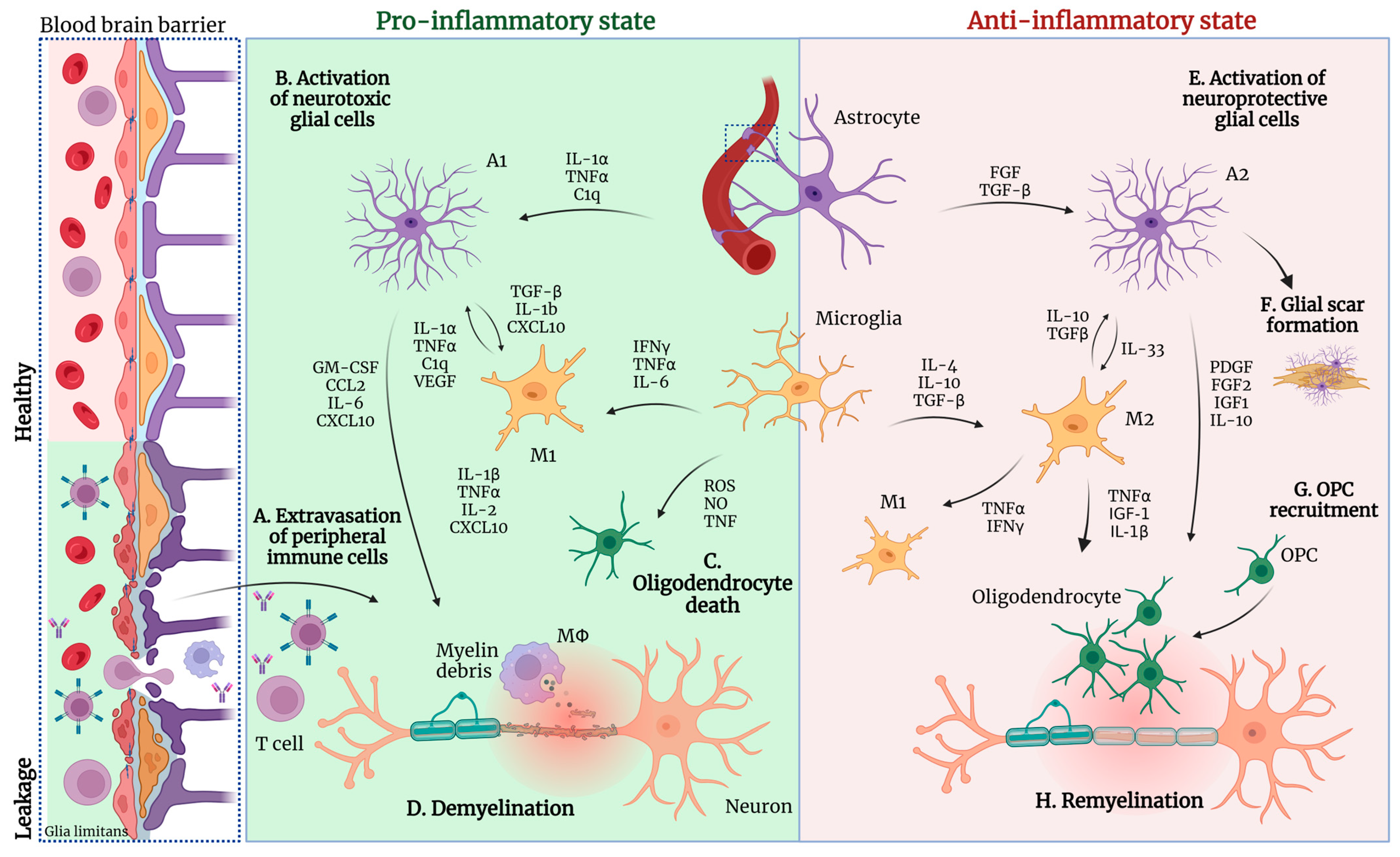 Ijms 25 09588 g003 Ijms 25 09588 g003