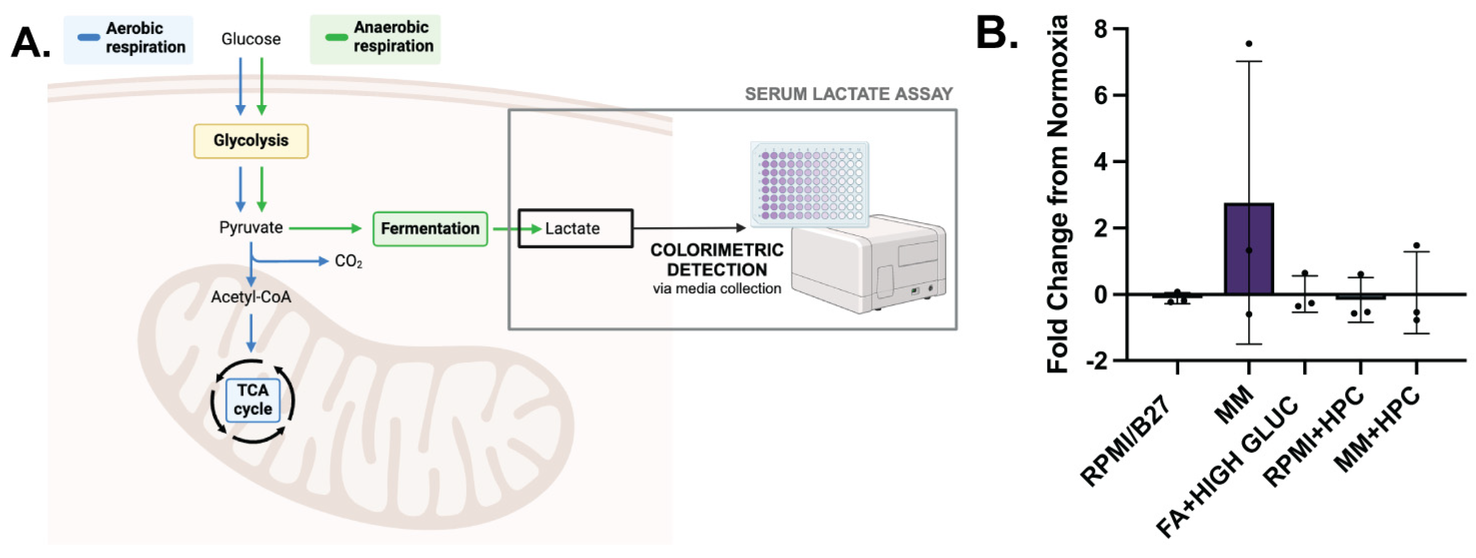 Ijms 25 09627 g005 Ijms 25 09627 g005