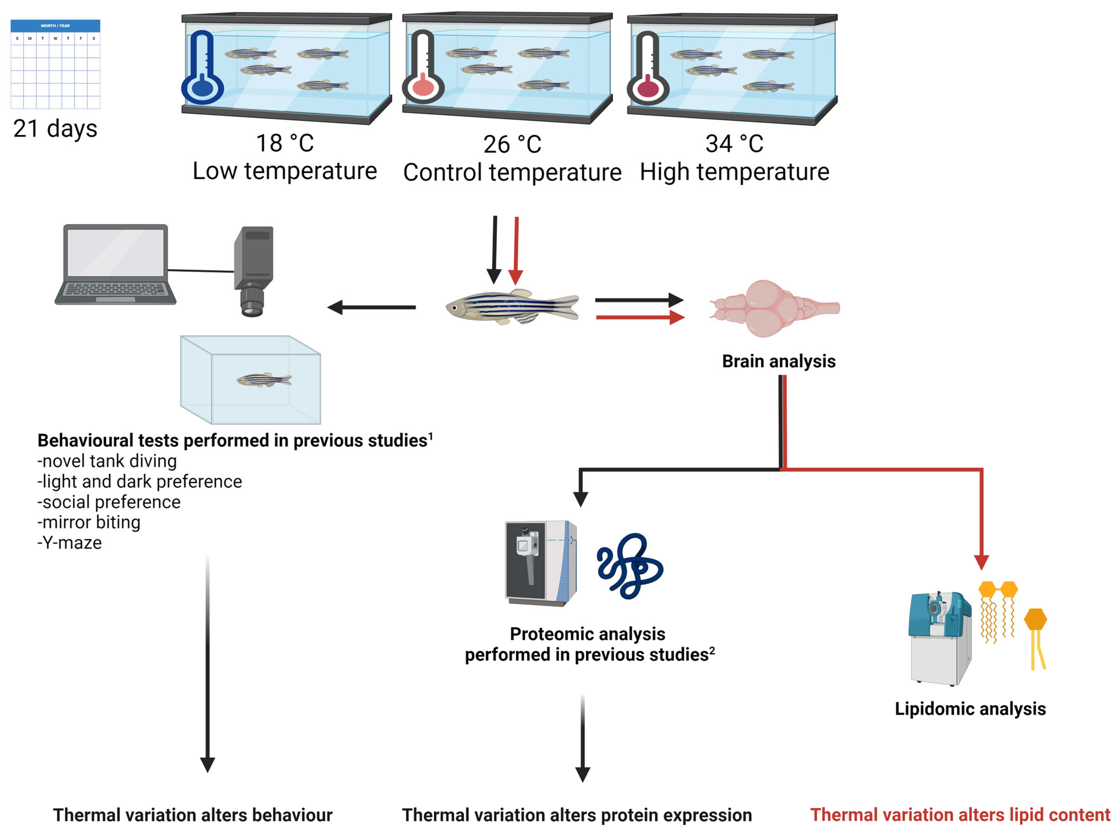 Ijms 25 09629 g001 Ijms 25 09629 g001