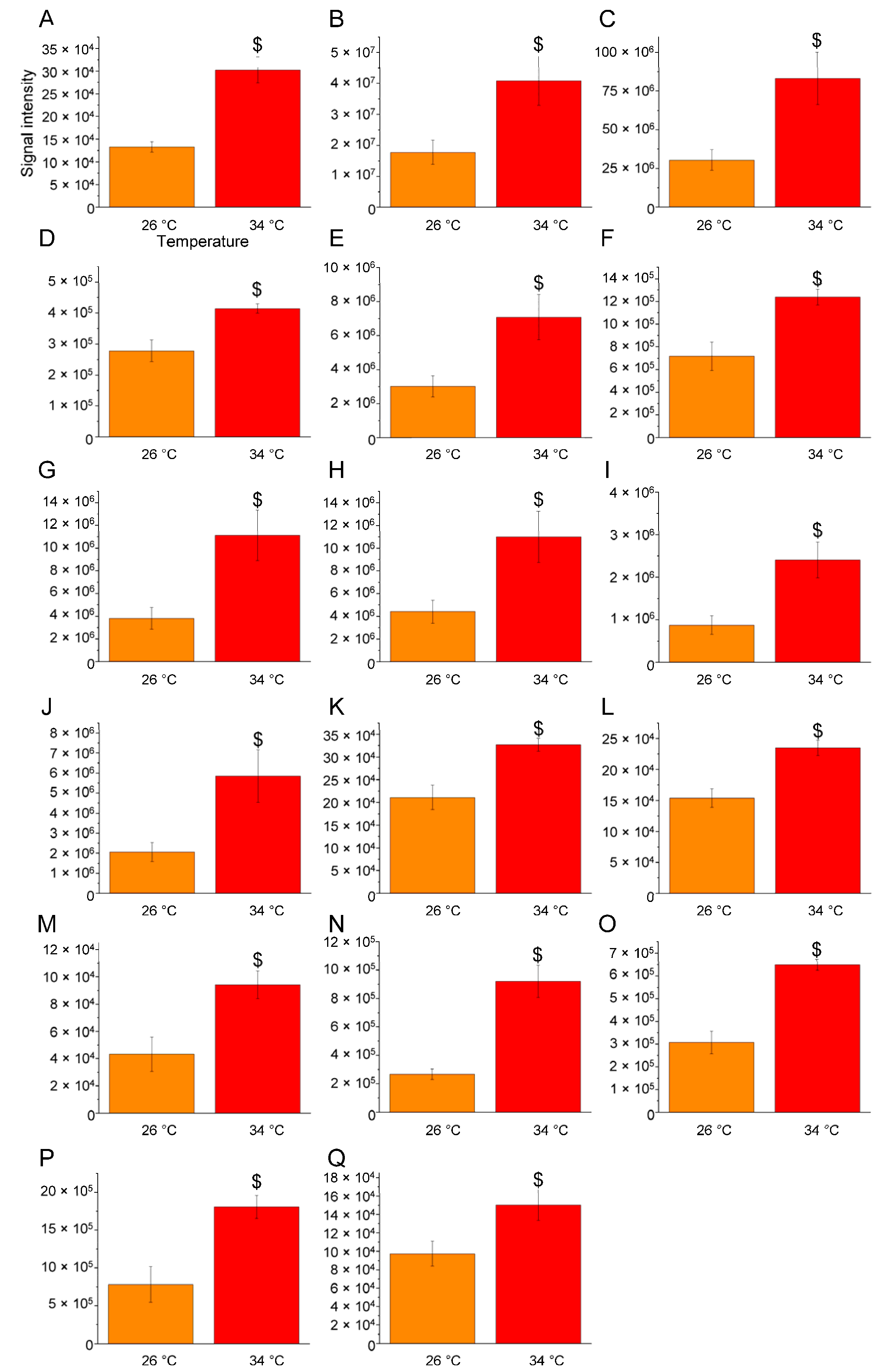 Ijms 25 09629 g006 Ijms 25 09629 g006