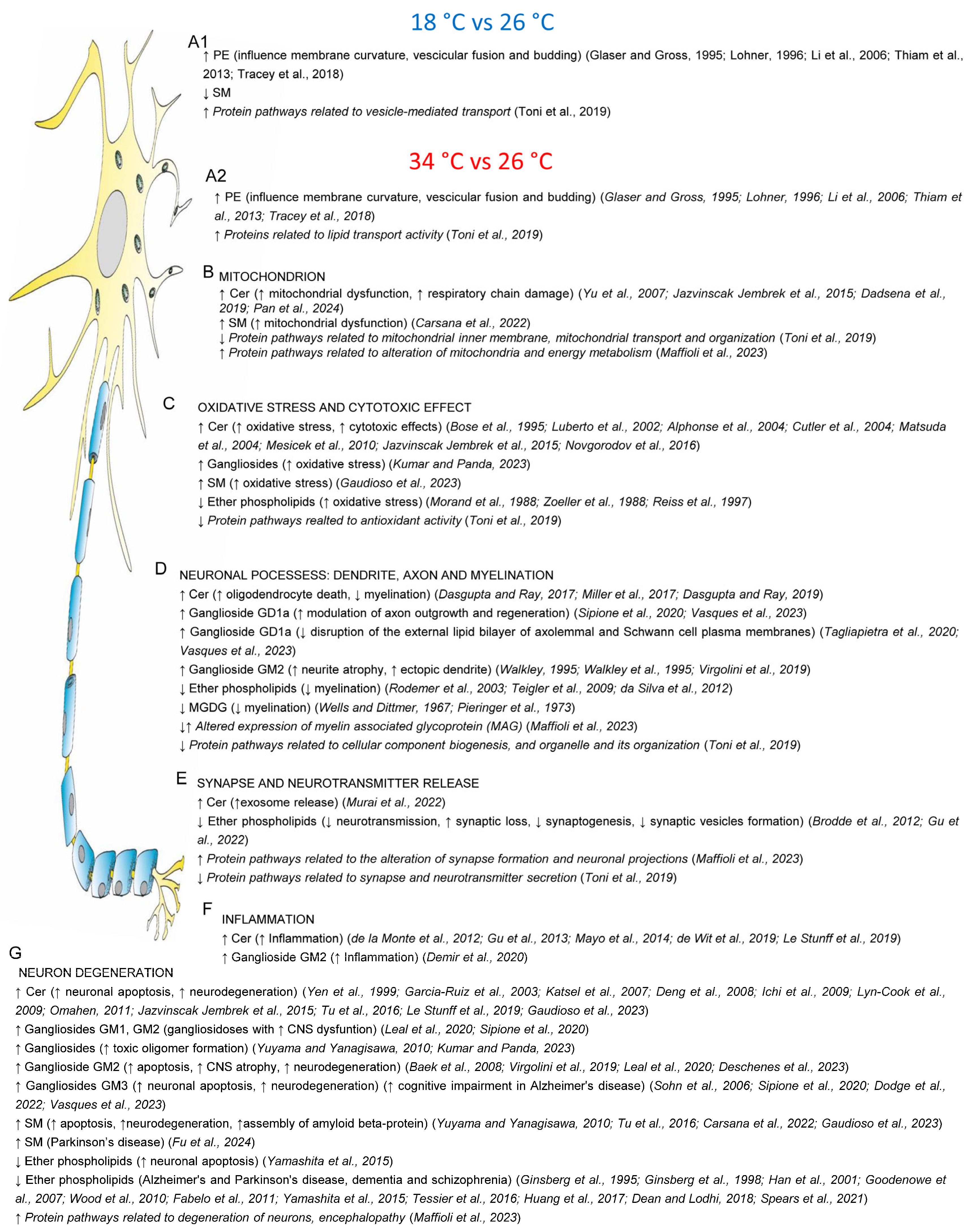 Ijms 25 09629 g009 Ijms 25 09629 g009