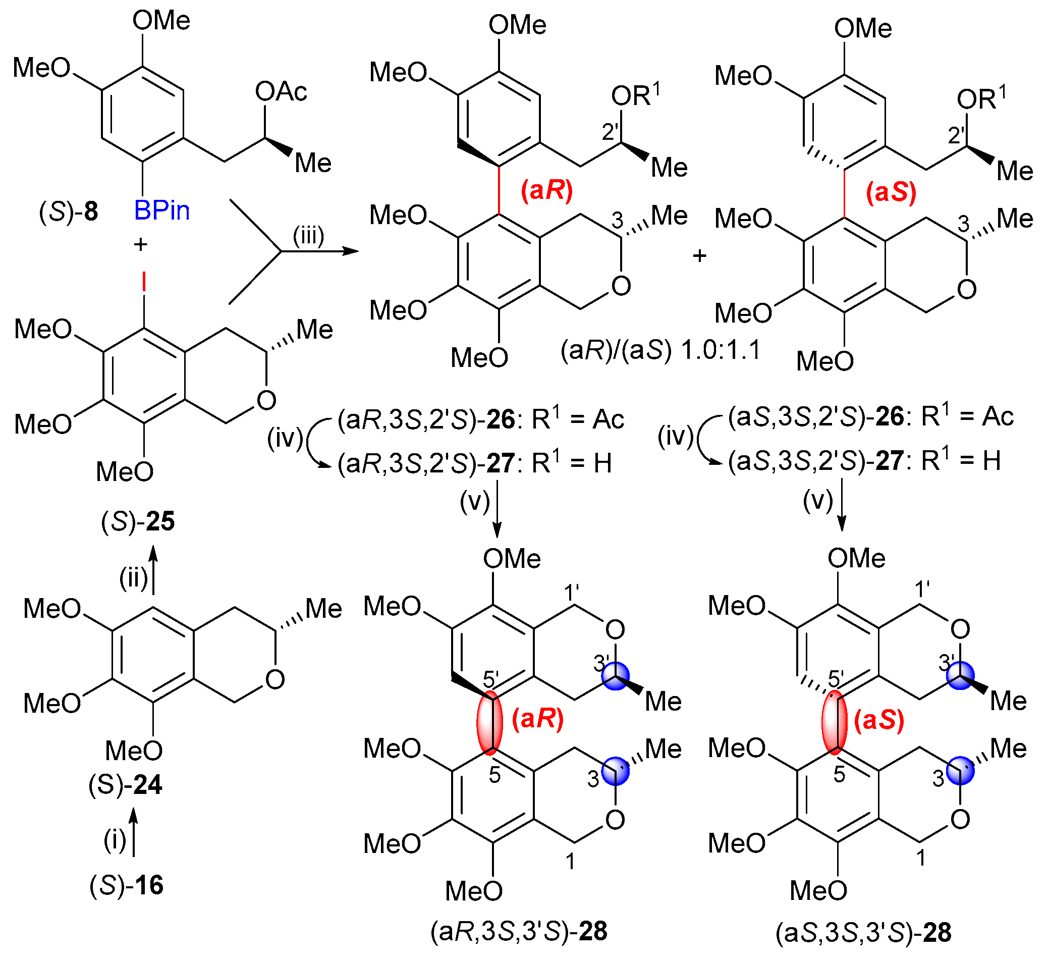 Ijms 25 09657 sch005