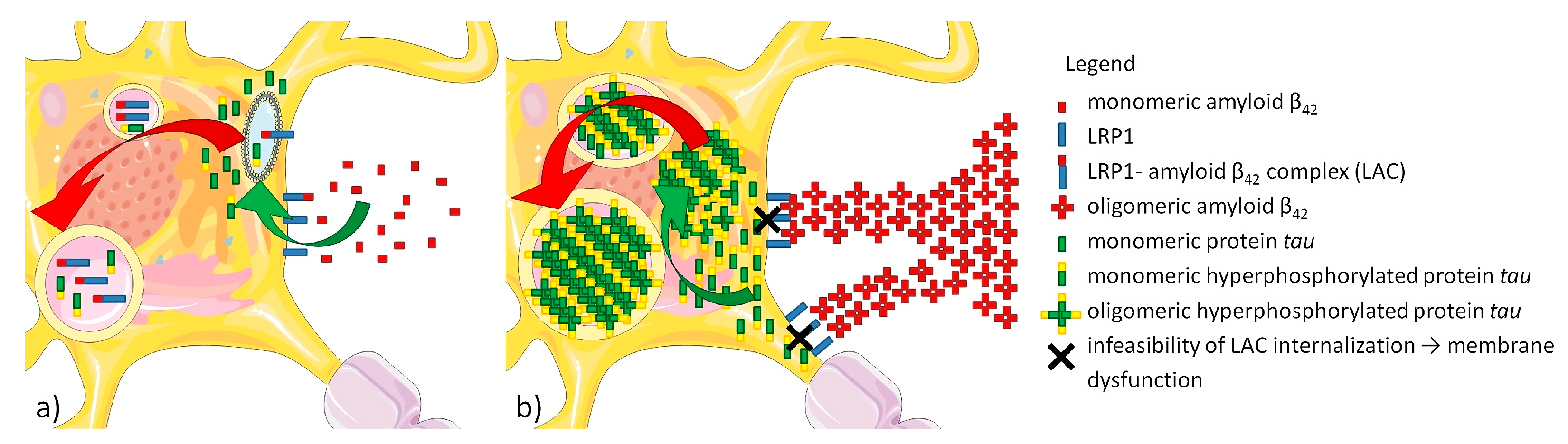 Ijms 25 09689 g004 Ijms 25 09689 g004