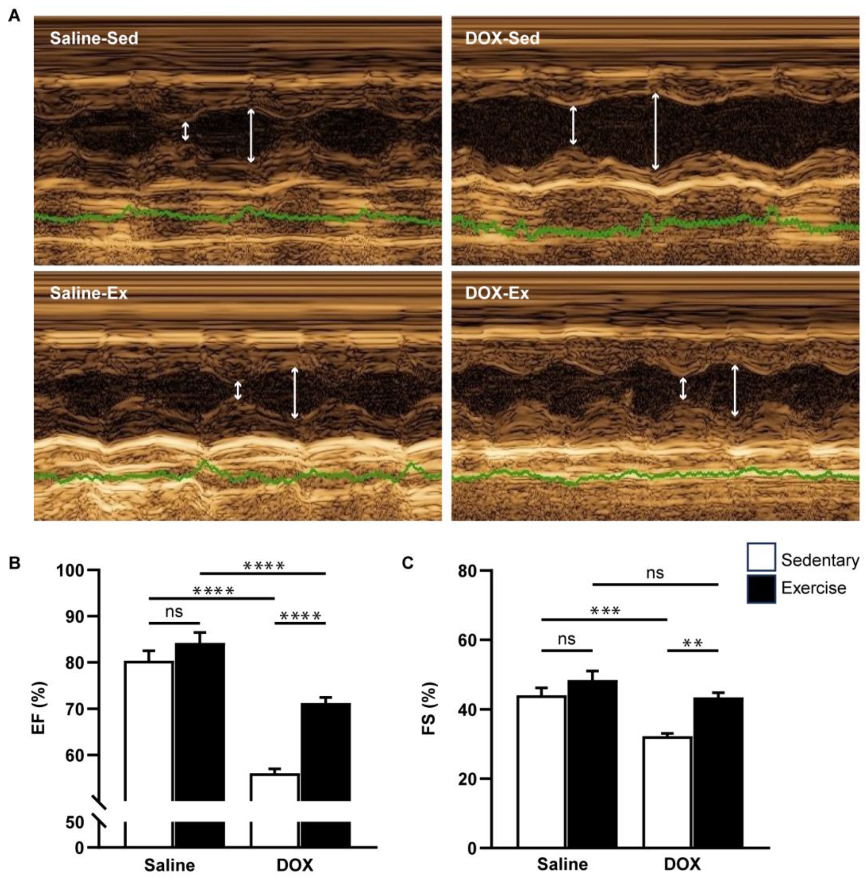 Ijms 25 09692 g003 Ijms 25 09692 g003
