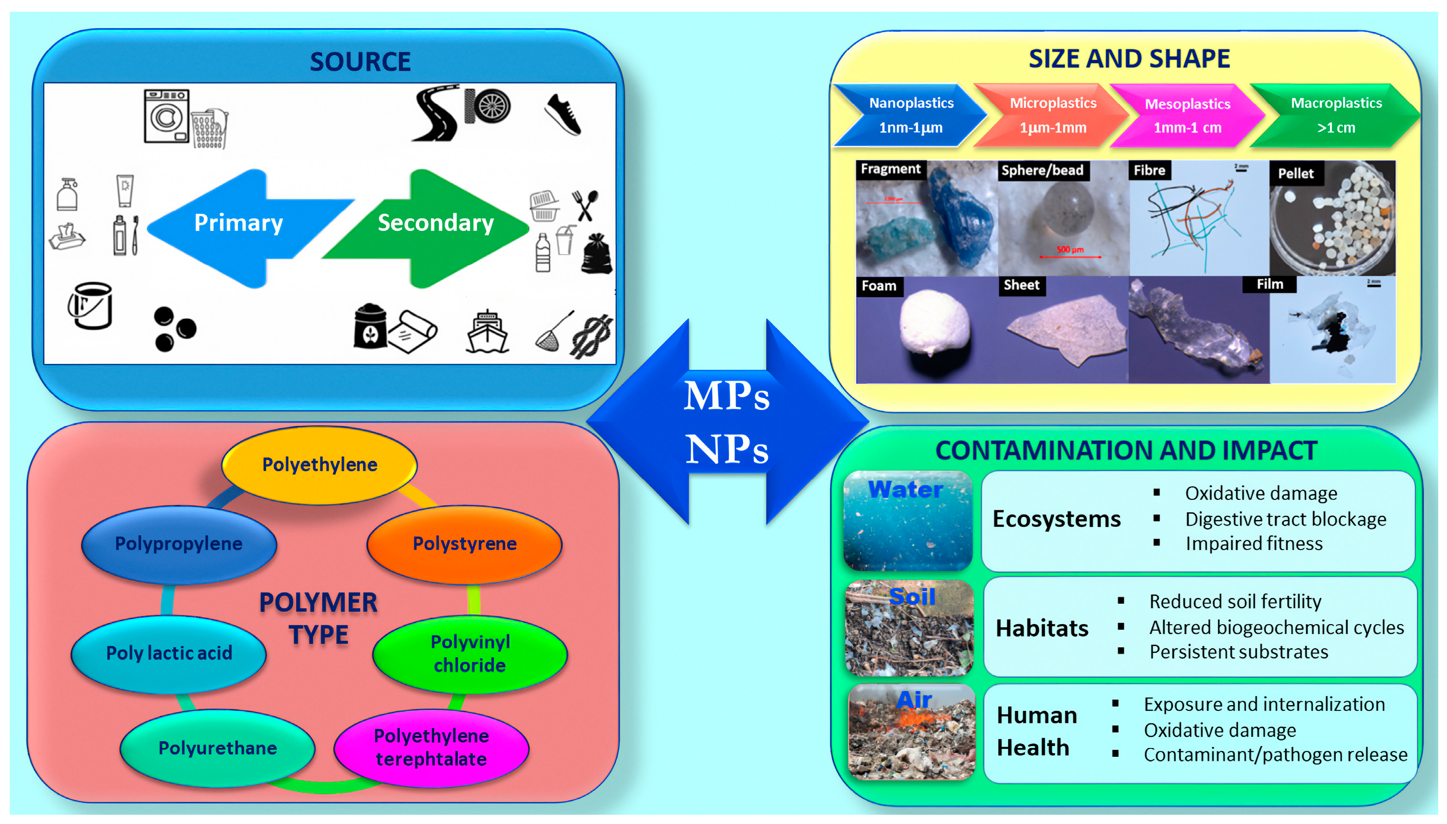 Ijms 25 09716 g001 Ijms 25 09716 g001