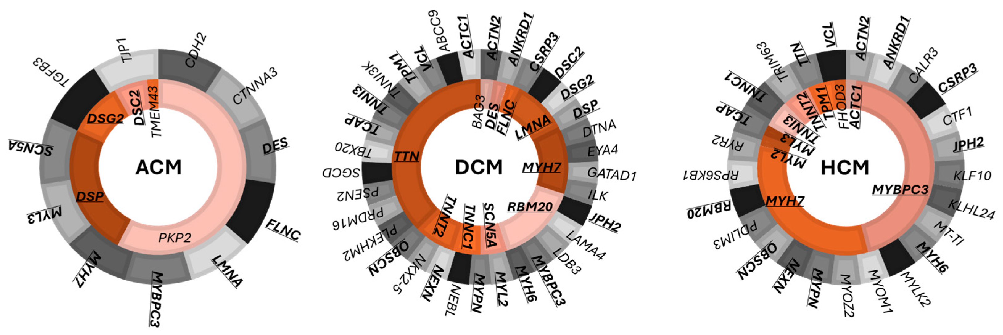 Ijms 25 09787 g001 Ijms 25 09787 g001