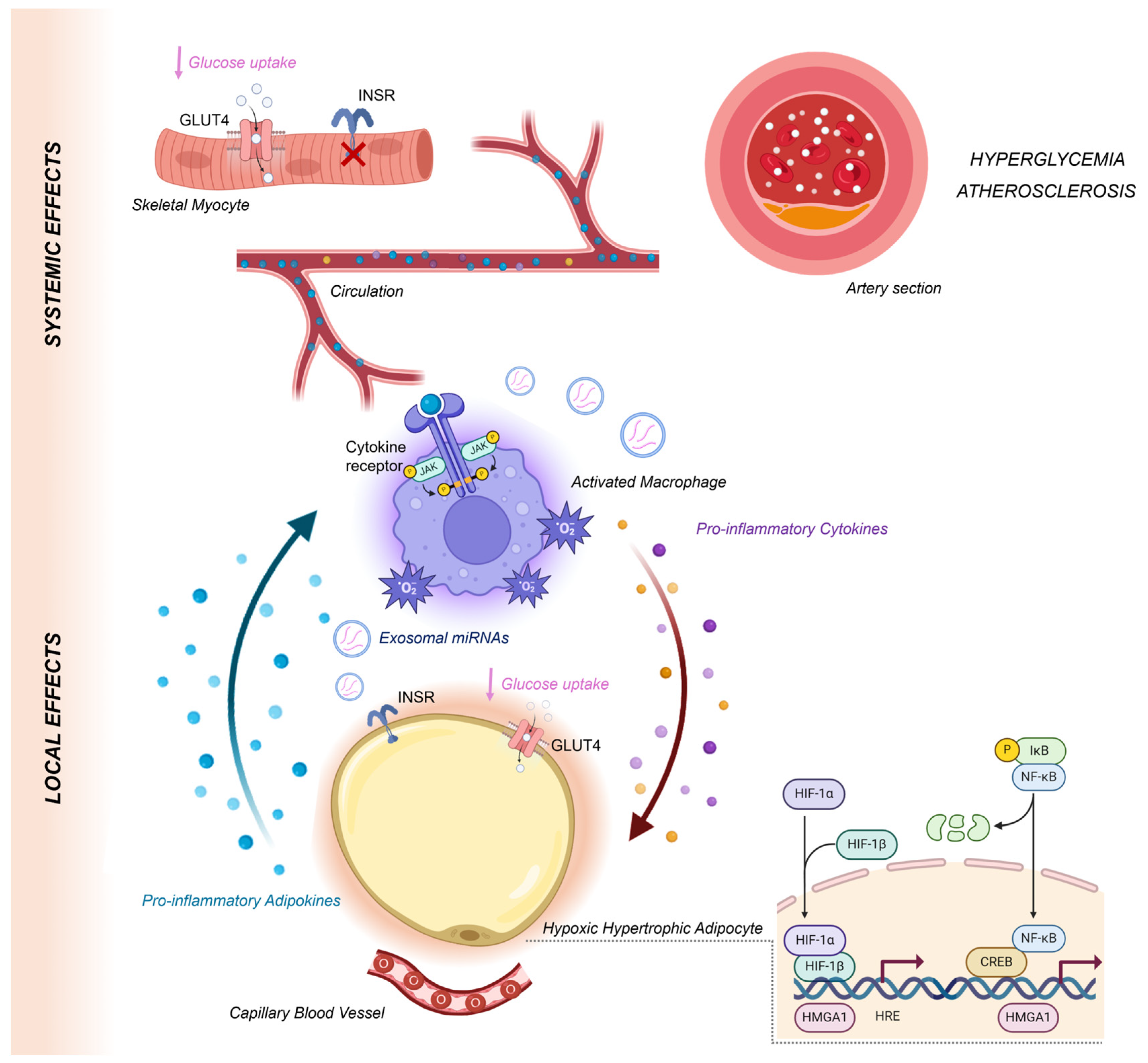 Ijms 25 09802 g003 Ijms 25 09802 g003