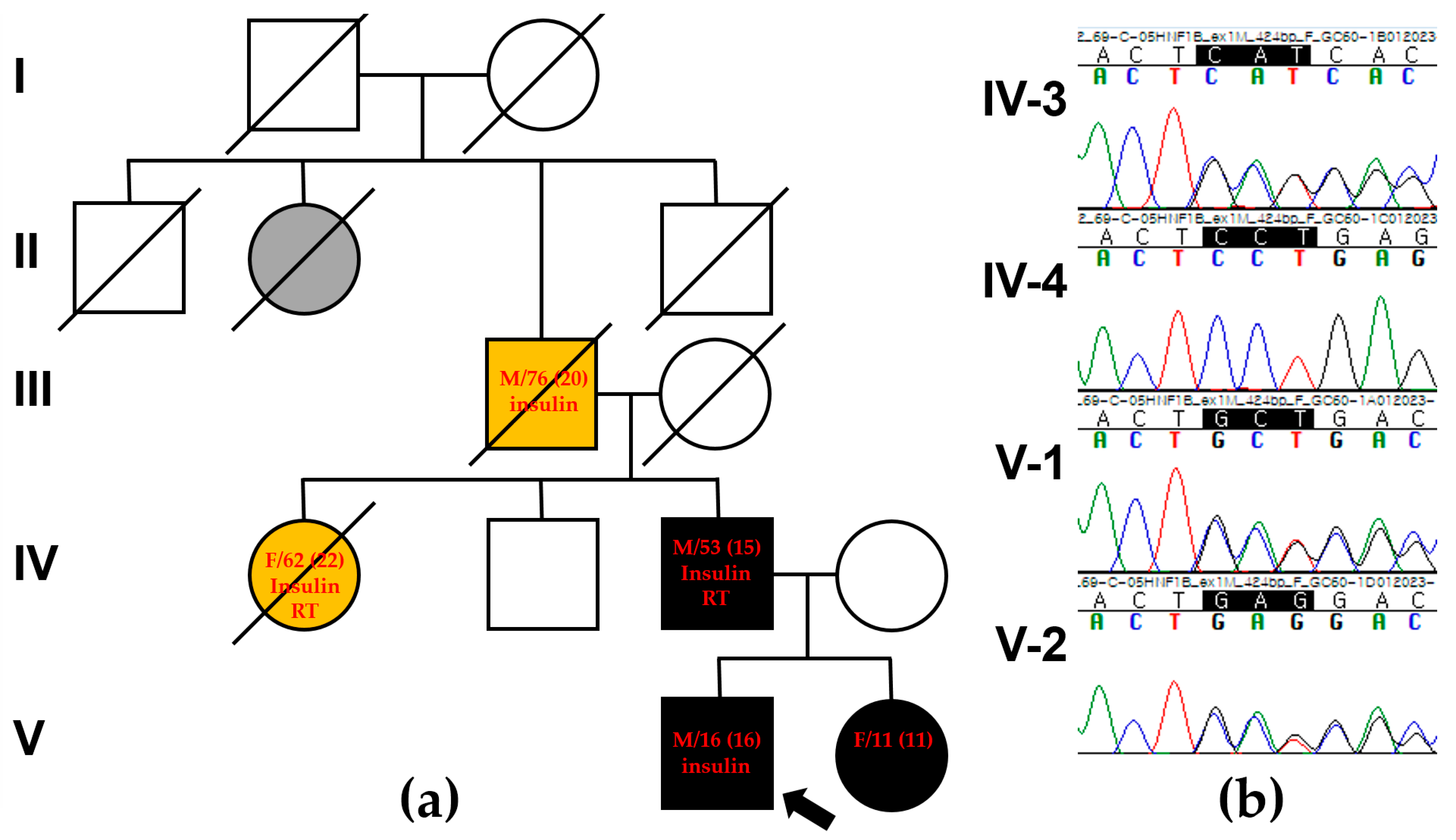 Ijms 25 09823 g001 Ijms 25 09823 g001