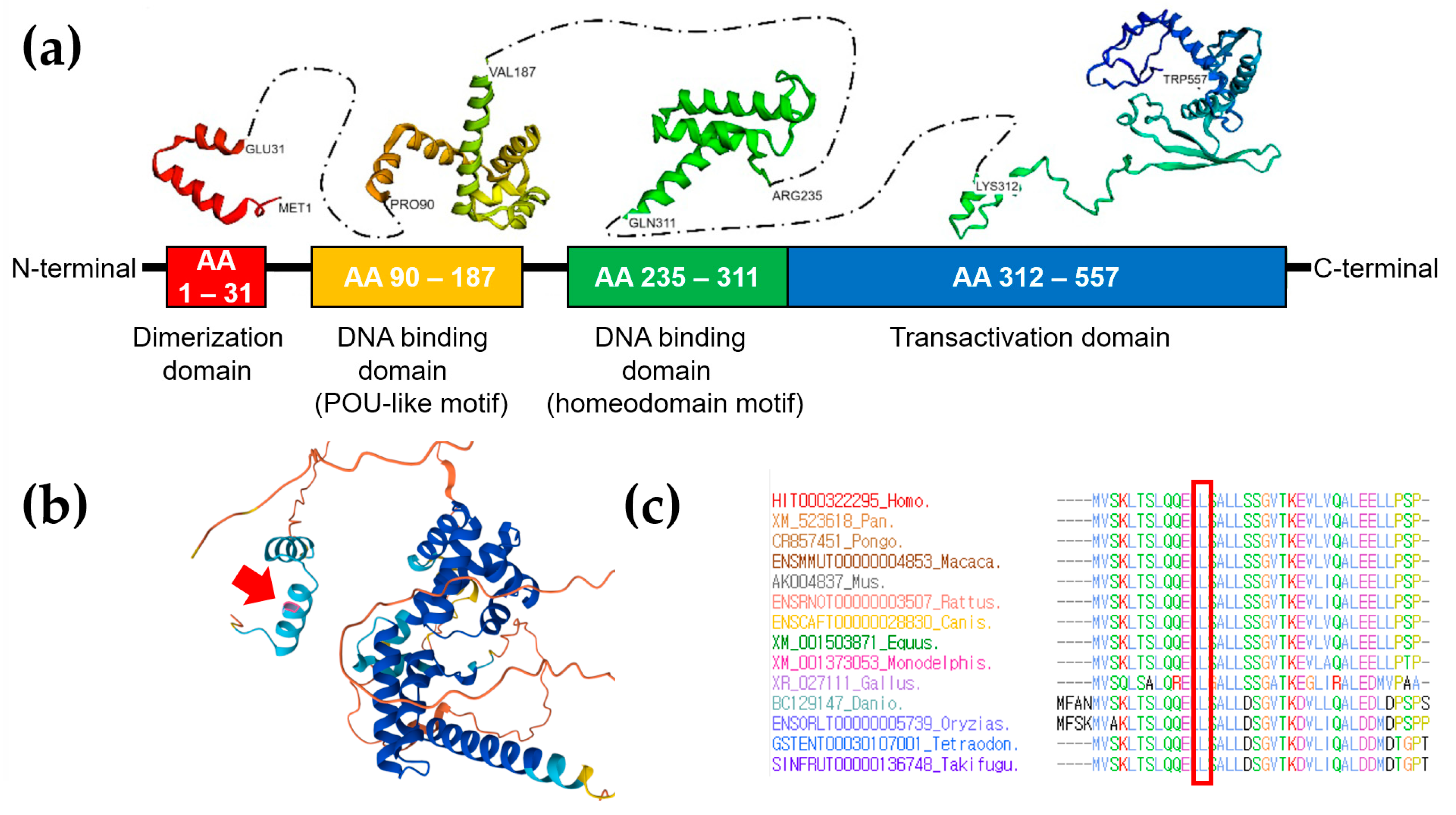 Ijms 25 09823 g003 Ijms 25 09823 g003
