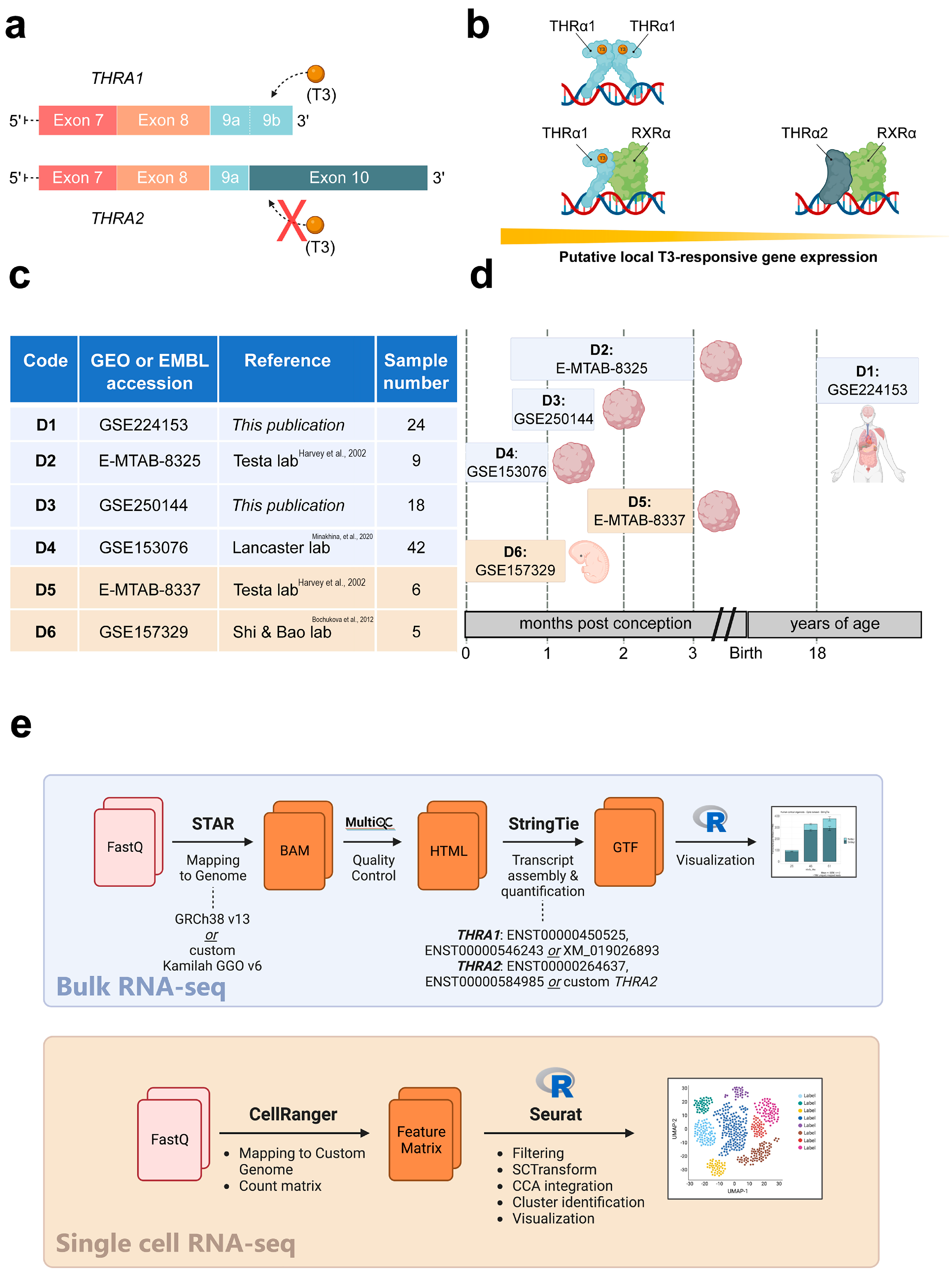 Ijms 25 09883 g001 Ijms 25 09883 g001