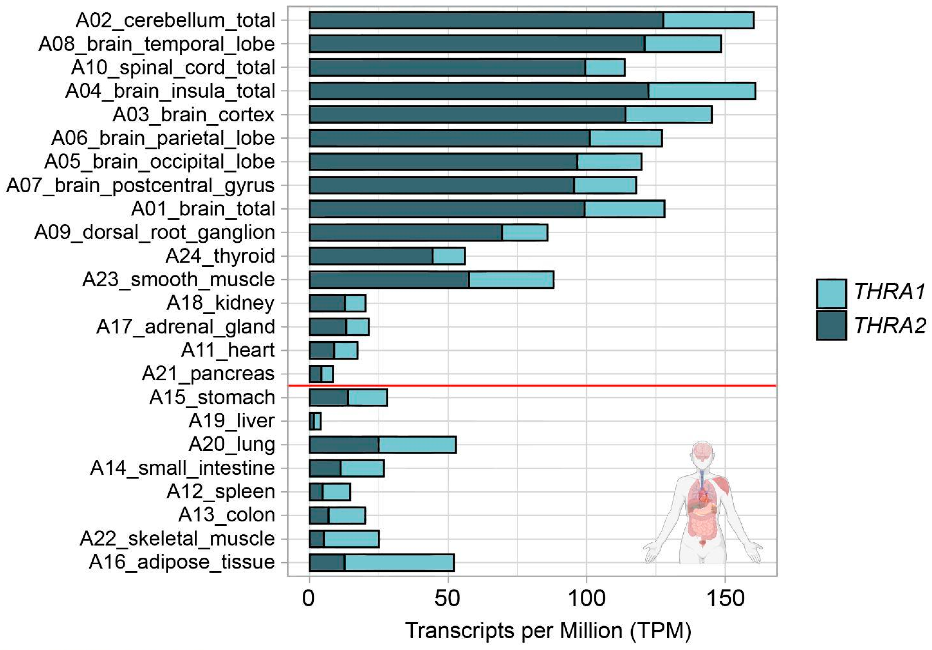 Ijms 25 09883 g002 Ijms 25 09883 g002