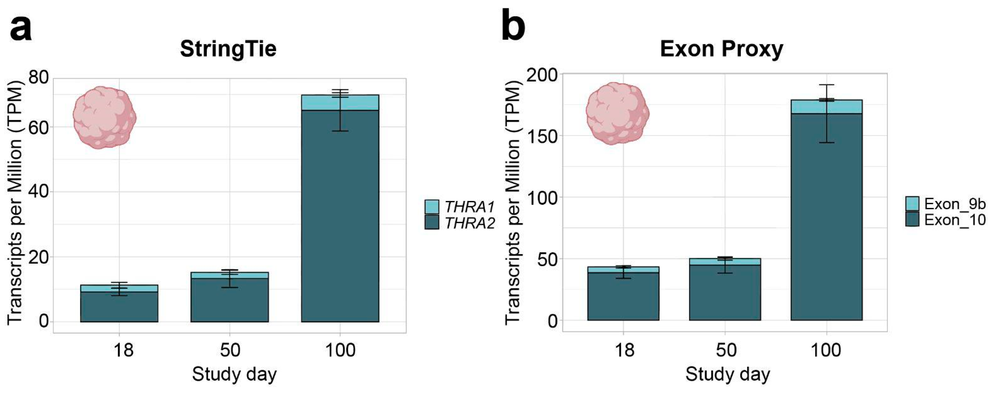 Ijms 25 09883 g003 Ijms 25 09883 g003