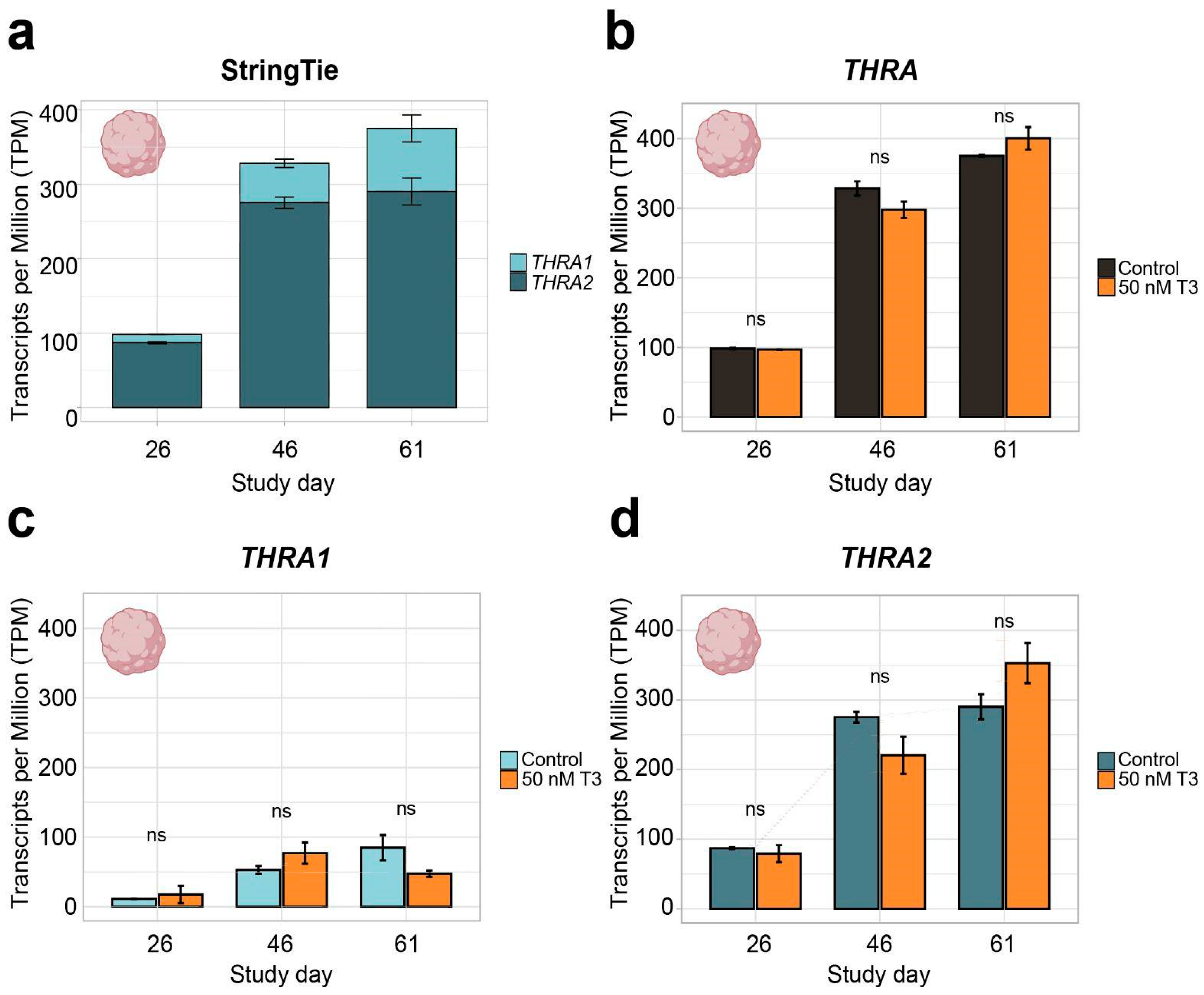 Ijms 25 09883 g004 Ijms 25 09883 g004