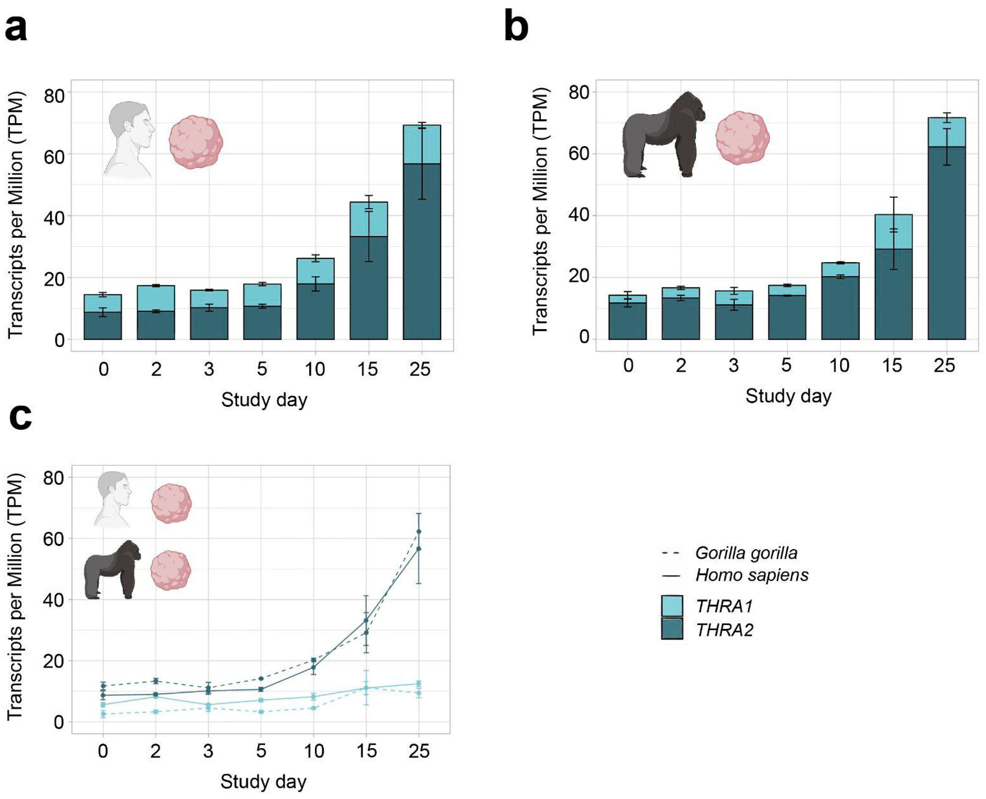 Ijms 25 09883 g005 Ijms 25 09883 g005