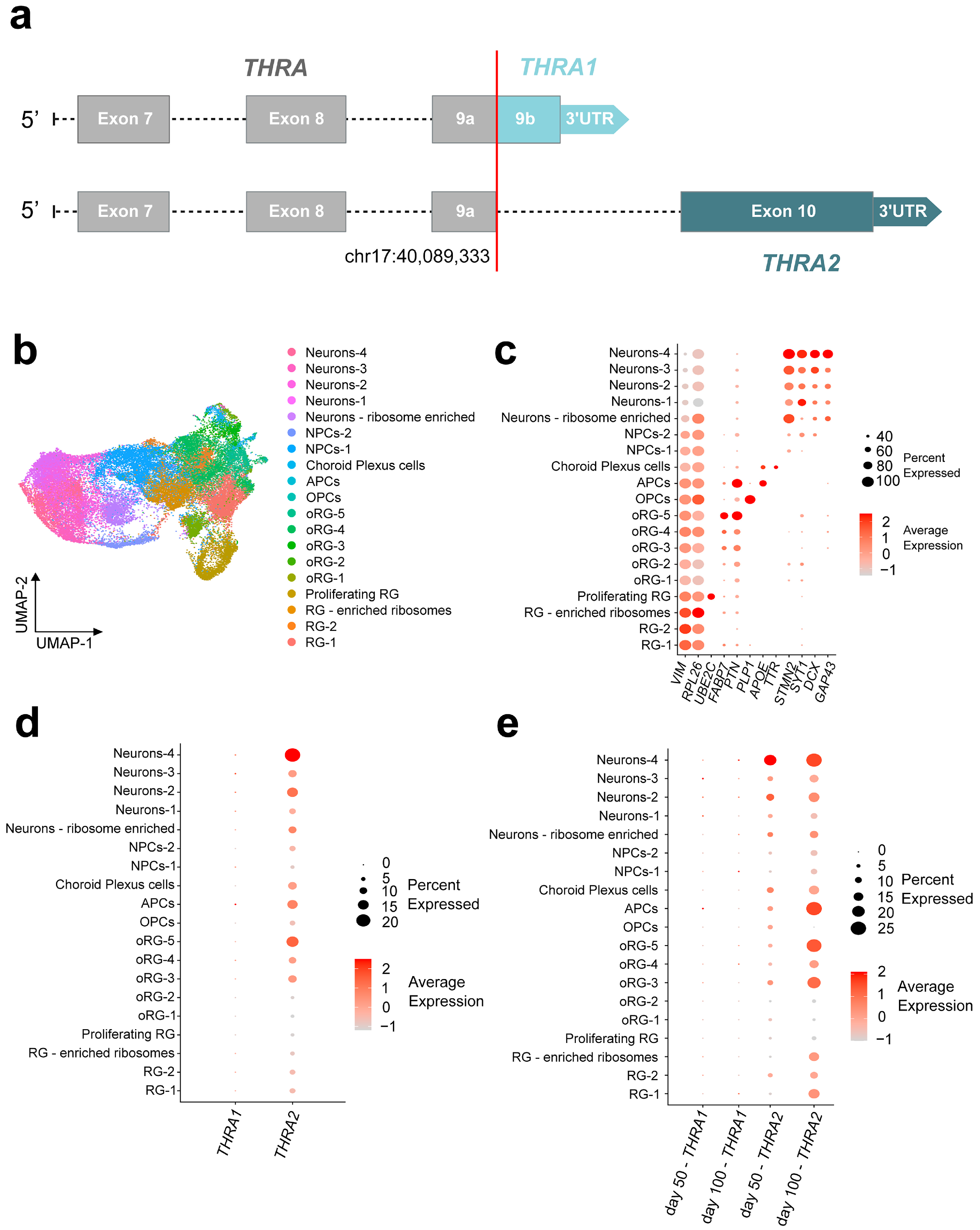 Ijms 25 09883 g006 Ijms 25 09883 g006