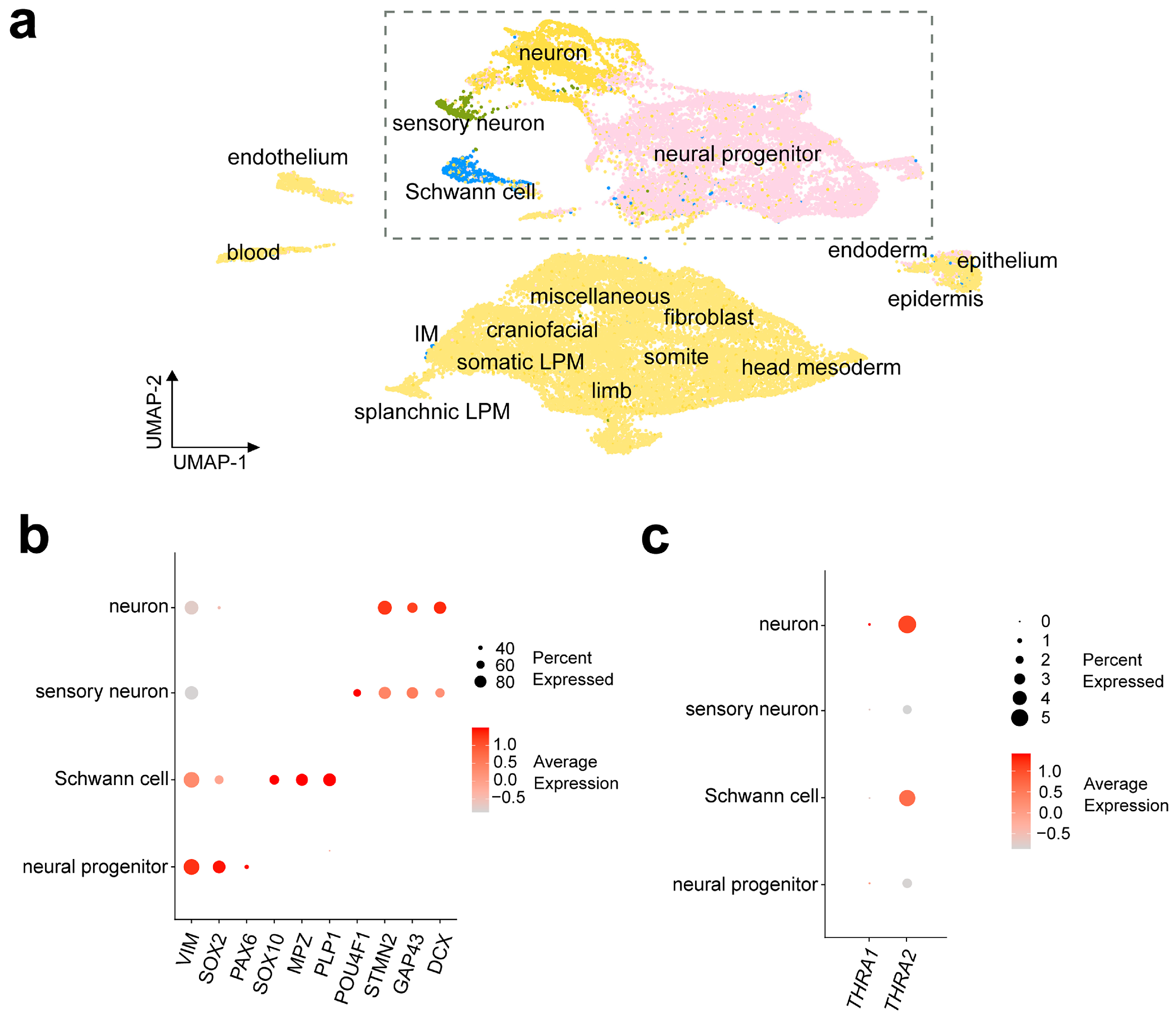 Ijms 25 09883 g007 Ijms 25 09883 g007