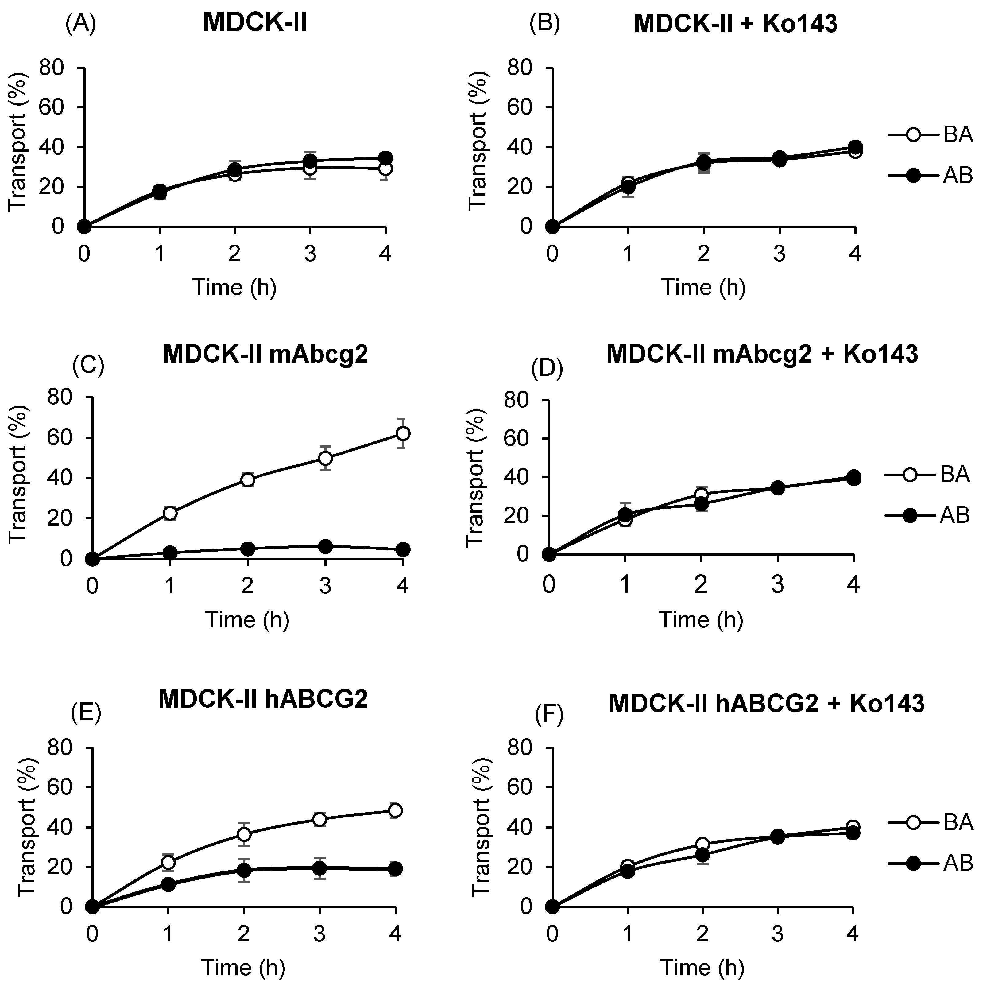 Ijms 25 09884 g001 Ijms 25 09884 g001