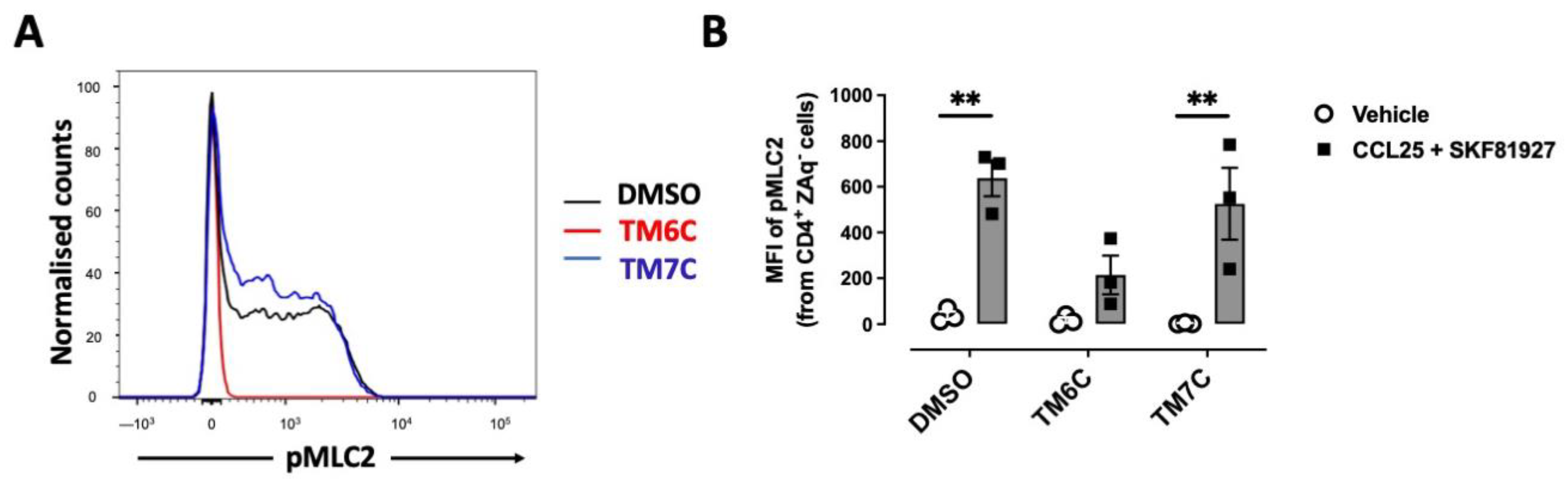 Ijms 25 10022 g002 Ijms 25 10022 g002
