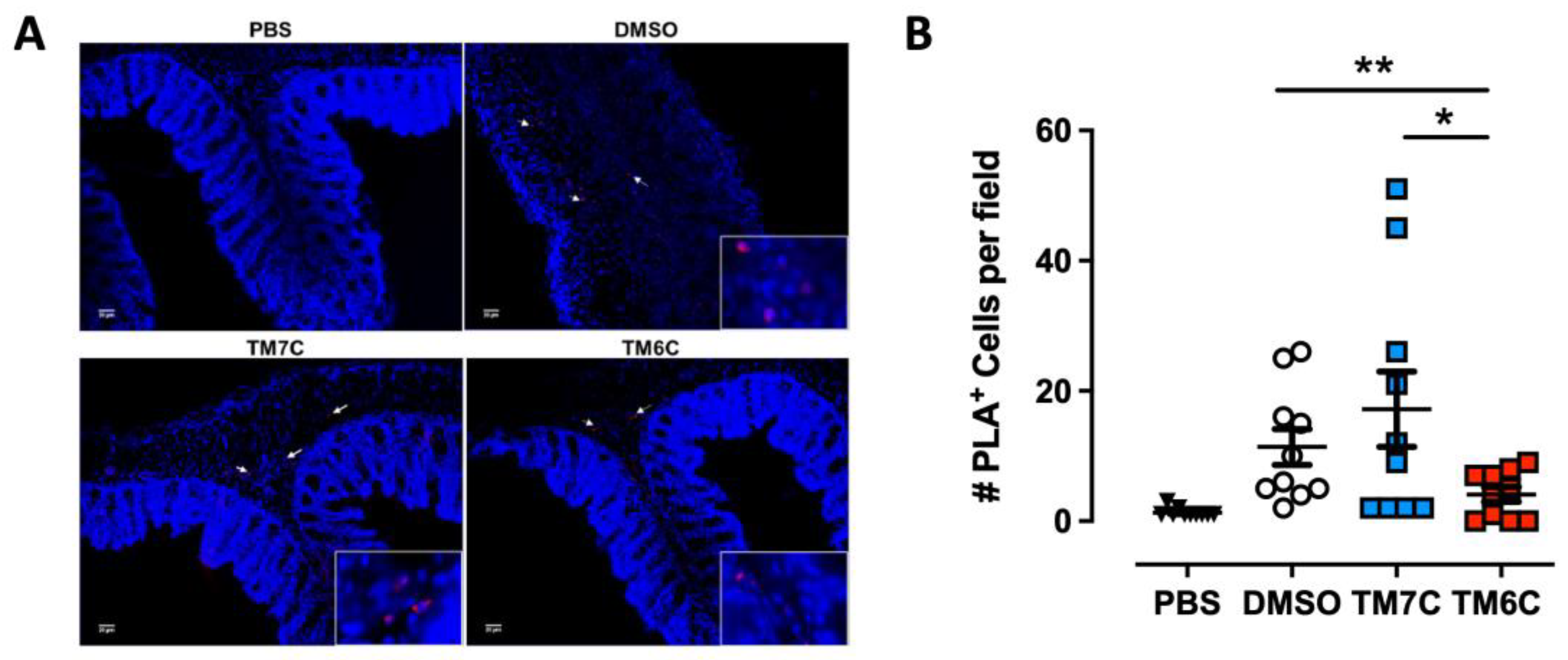 Ijms 25 10022 g003 Ijms 25 10022 g003