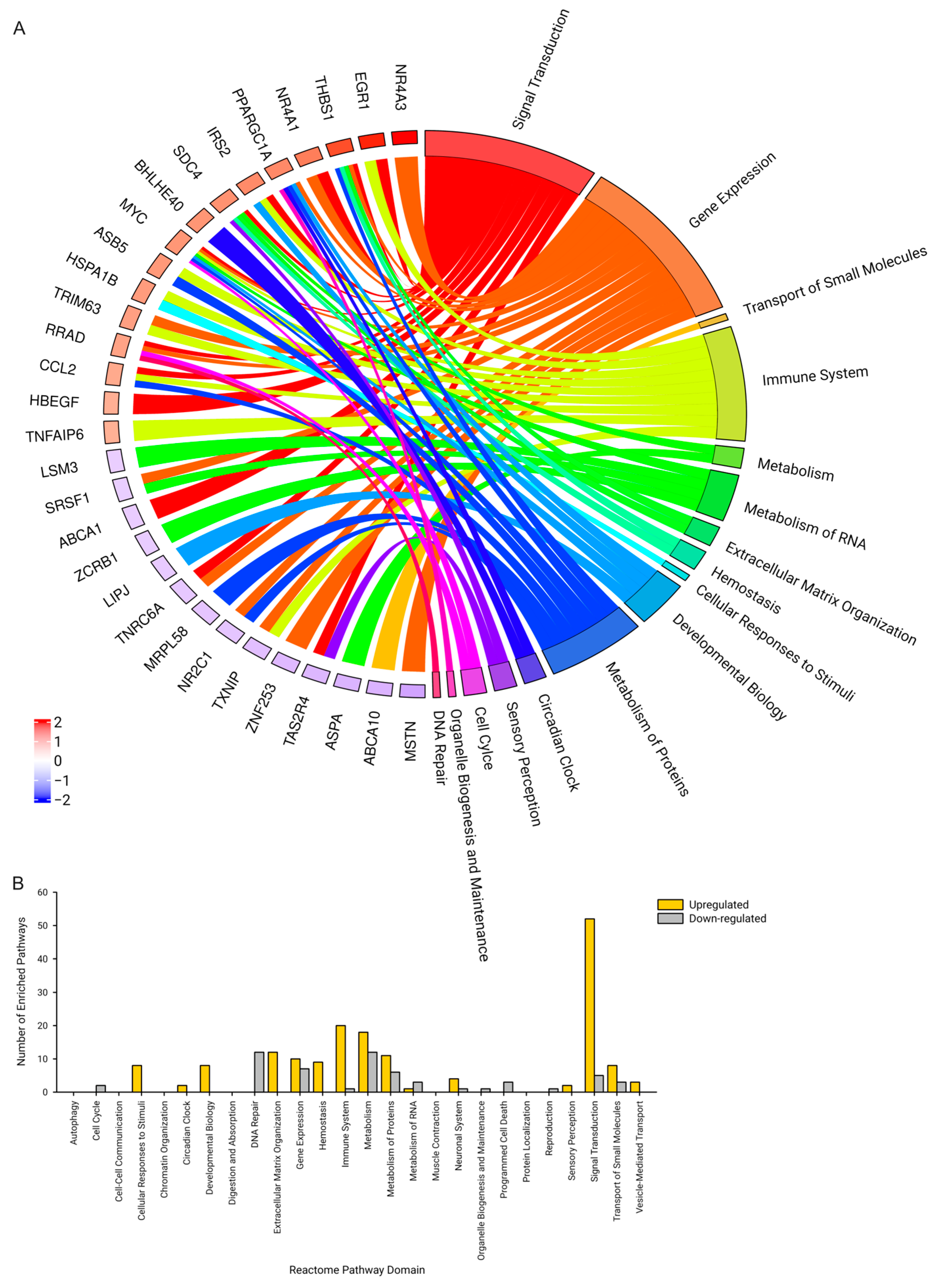 Ijms 25 10189 g003 Ijms 25 10189 g003