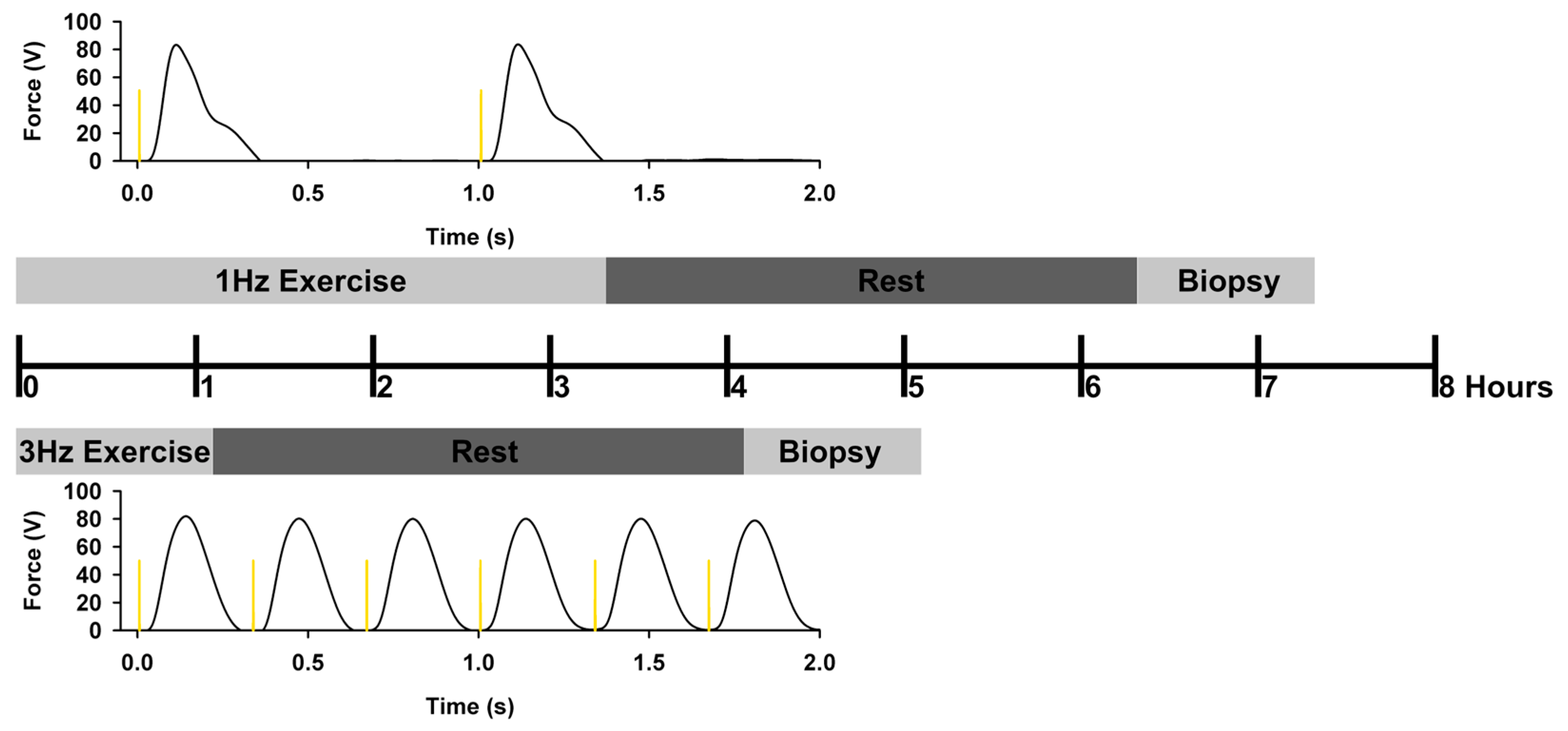 Ijms 25 10189 g008 Ijms 25 10189 g008