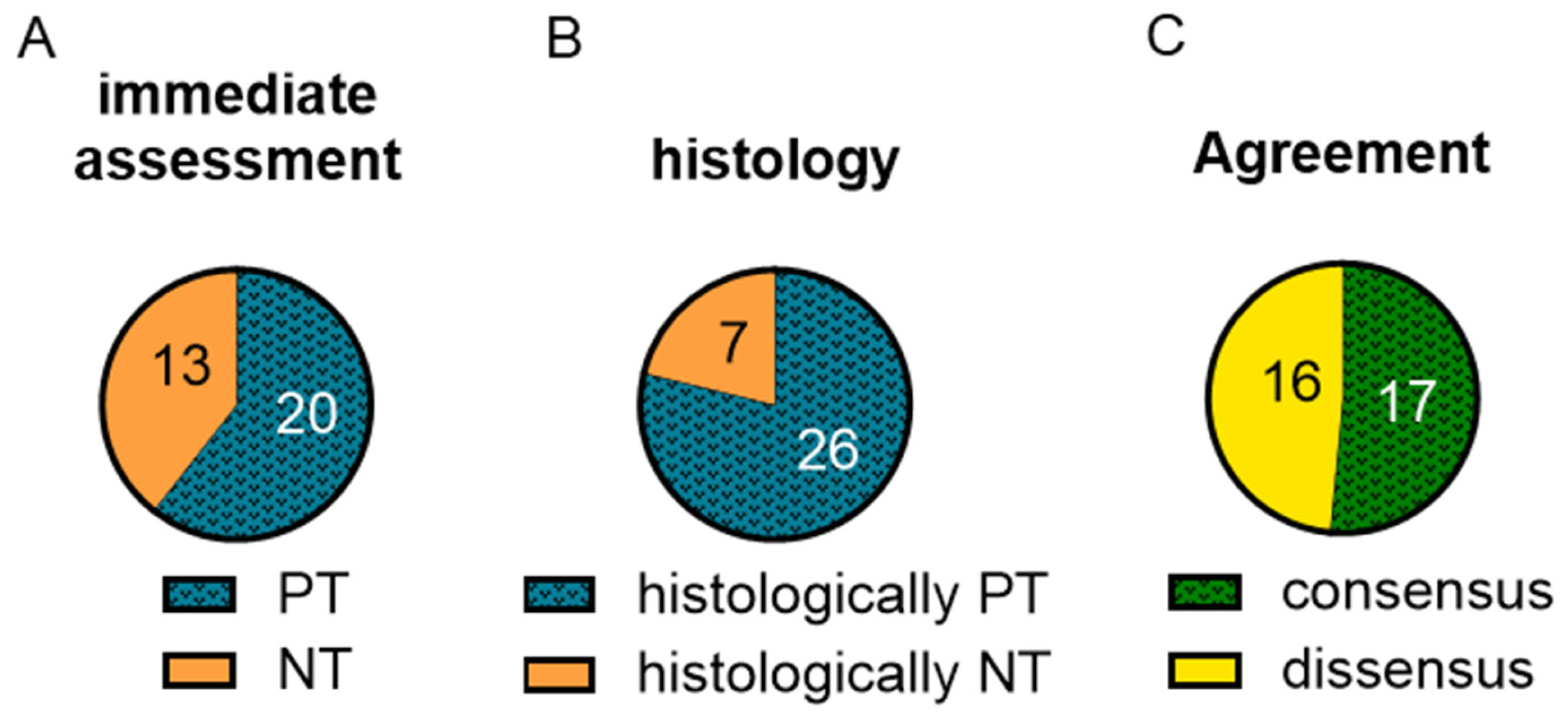 Ijms 25 10280 g001 Ijms 25 10280 g001
