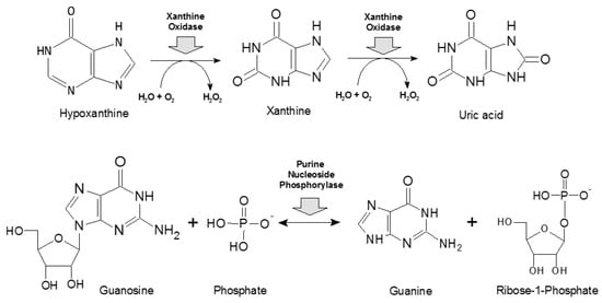 Ijms 25 10426 sch002