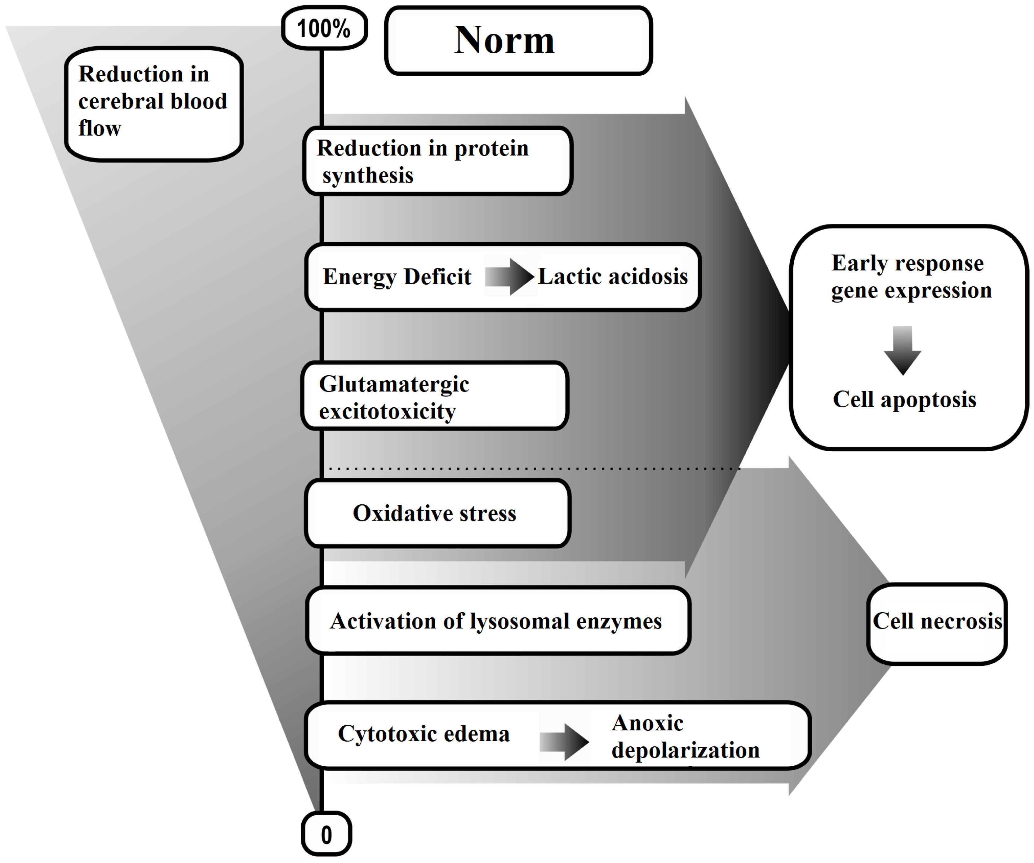 Ijms 25 10475 sch002
