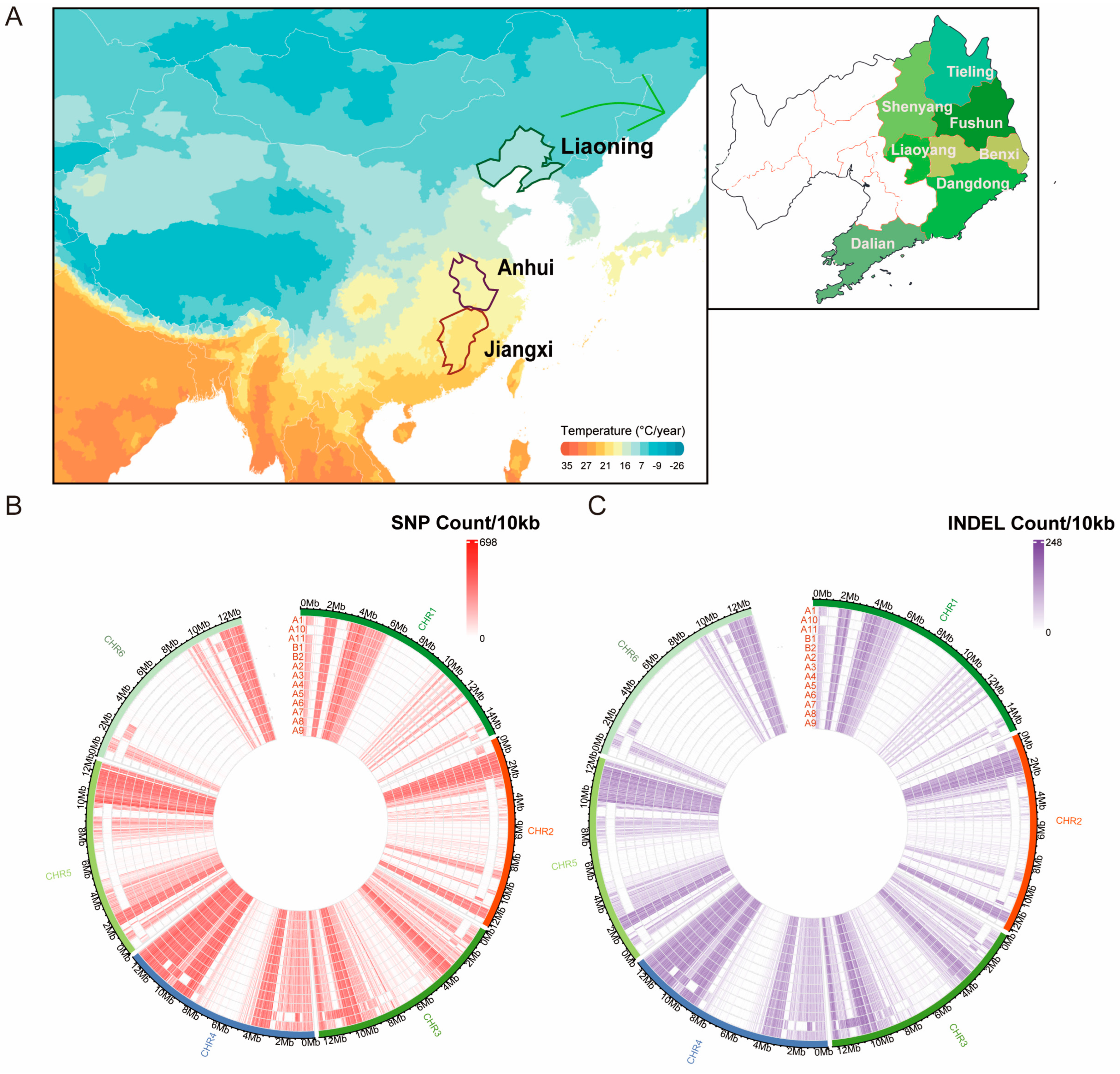 Ijms 25 10492 g001 Ijms 25 10492 g001