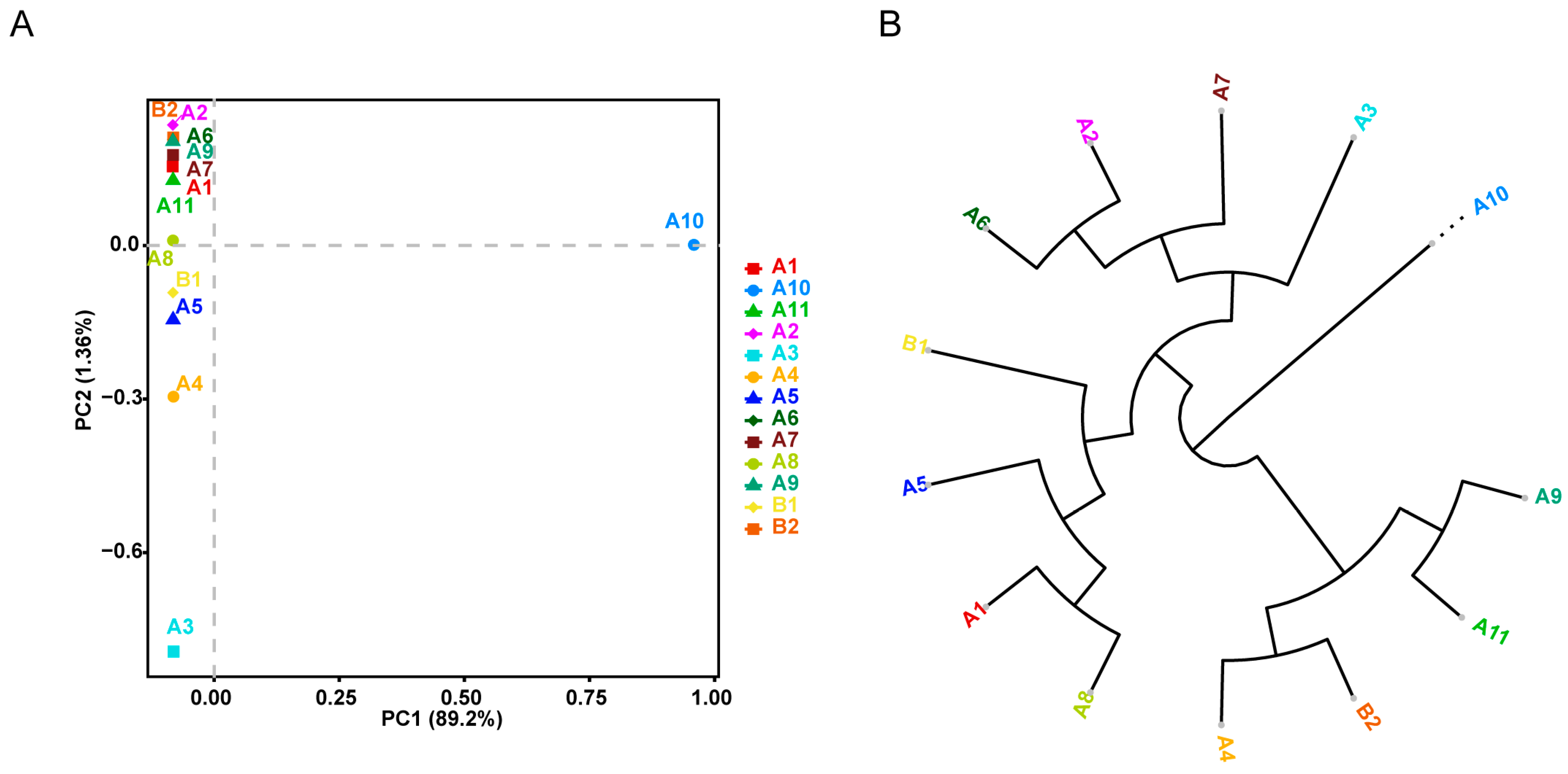 Ijms 25 10492 g002 Ijms 25 10492 g002
