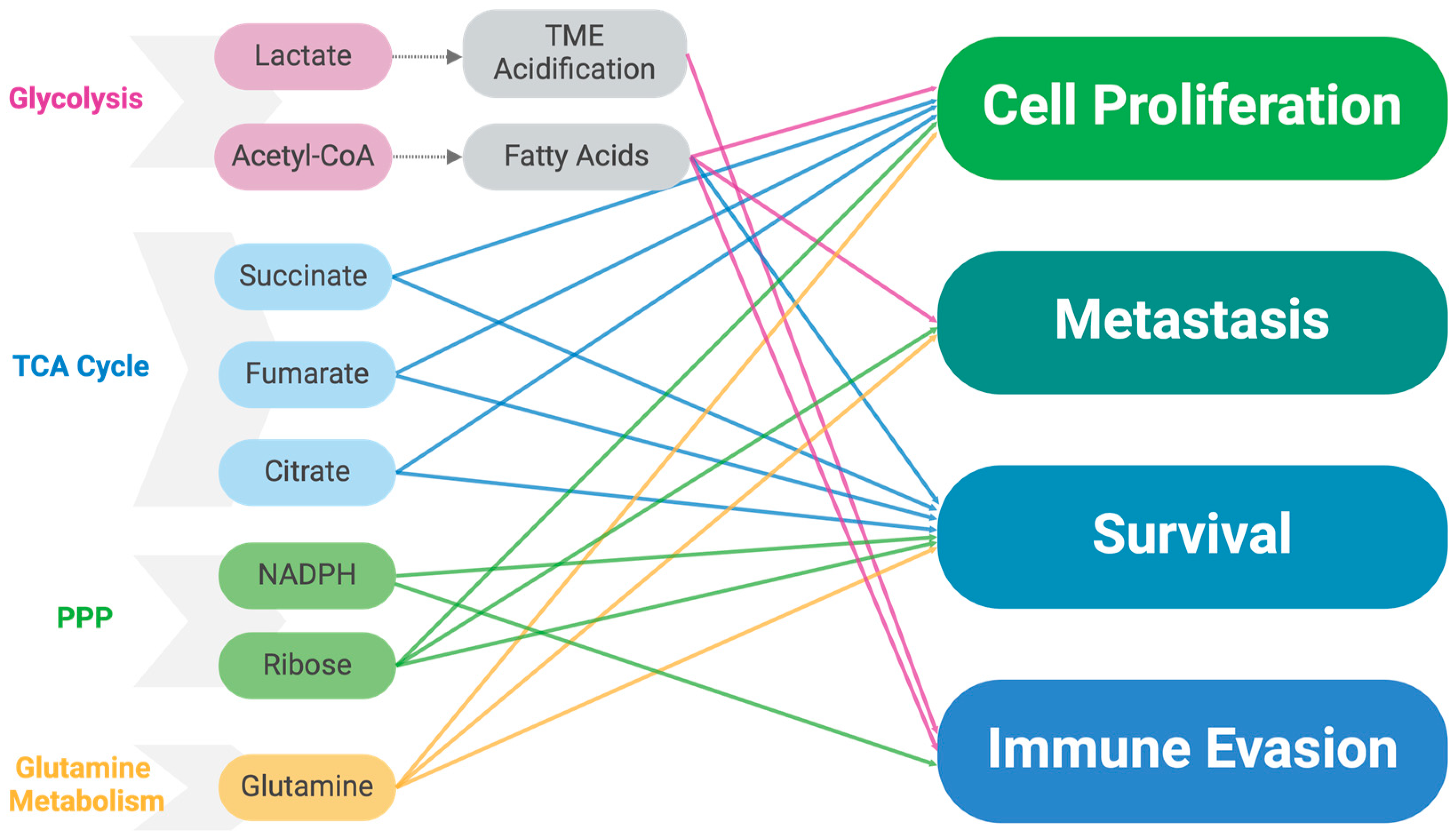 Ijms 25 10503 g002 Ijms 25 10503 g002