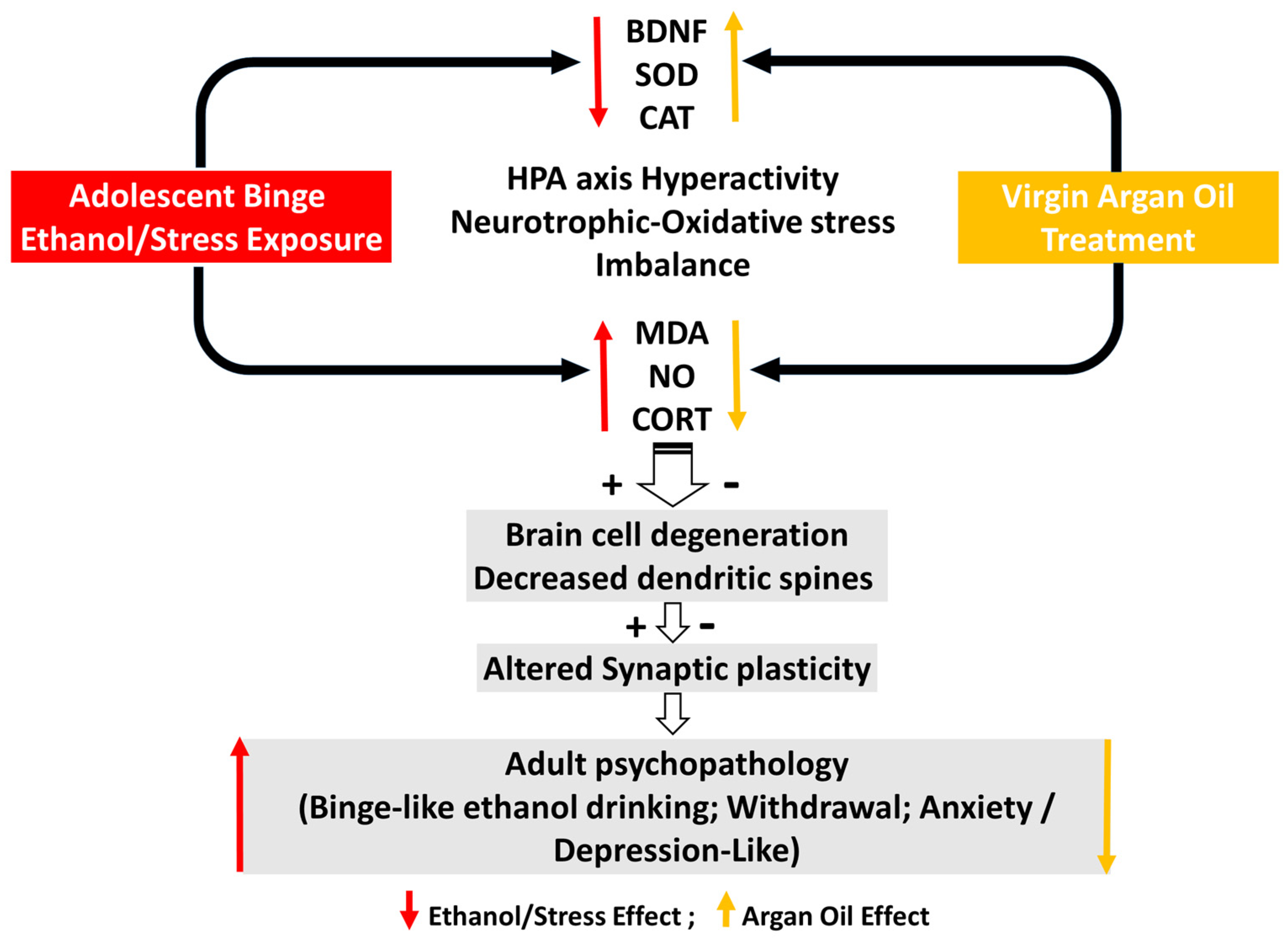 Ijms 25 10529 g005 Ijms 25 10529 g005