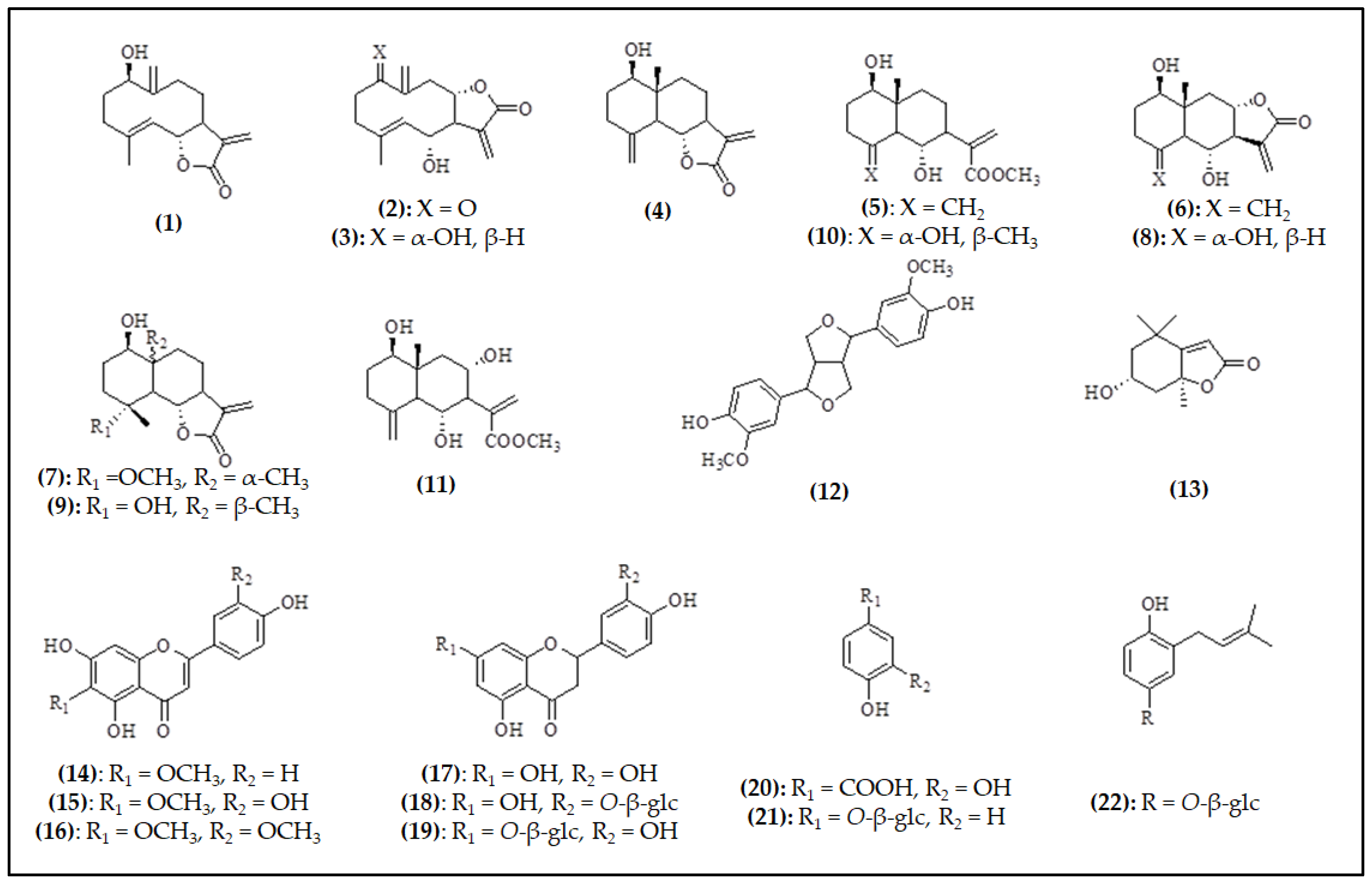 Ijms 25 10586 g002 Ijms 25 10586 g002