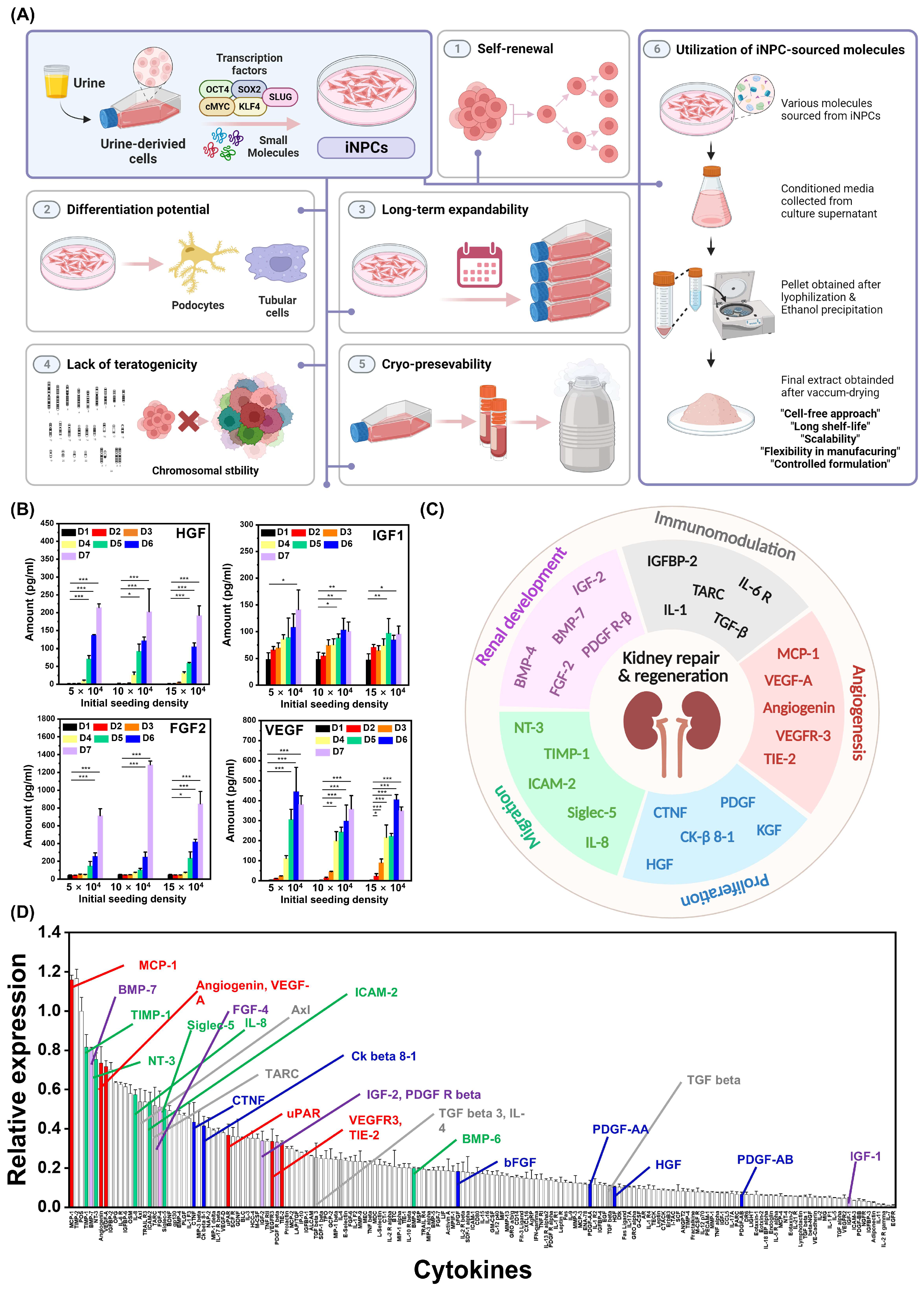 Ijms 25 10615 g001 Ijms 25 10615 g001