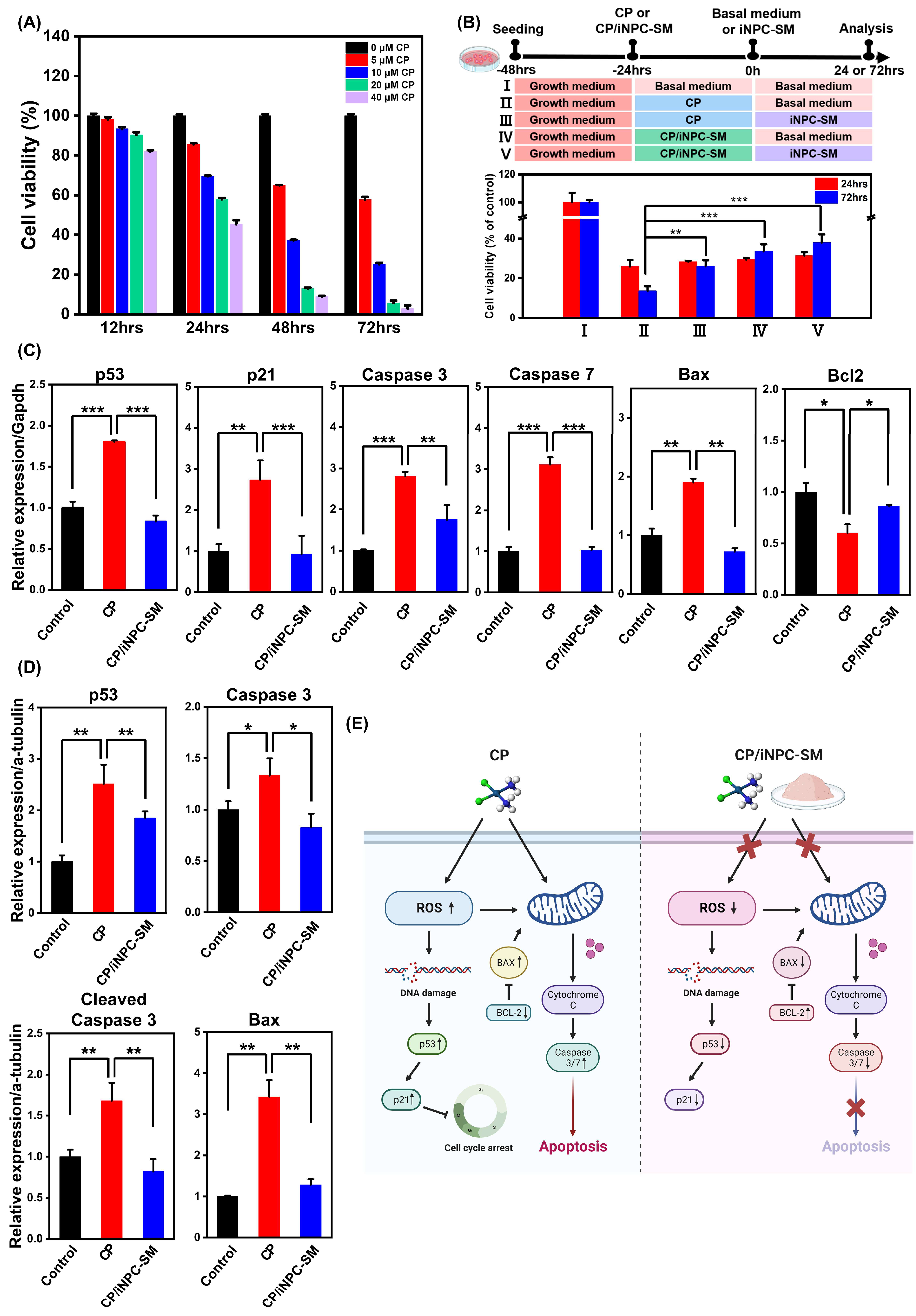 Ijms 25 10615 g002 Ijms 25 10615 g002
