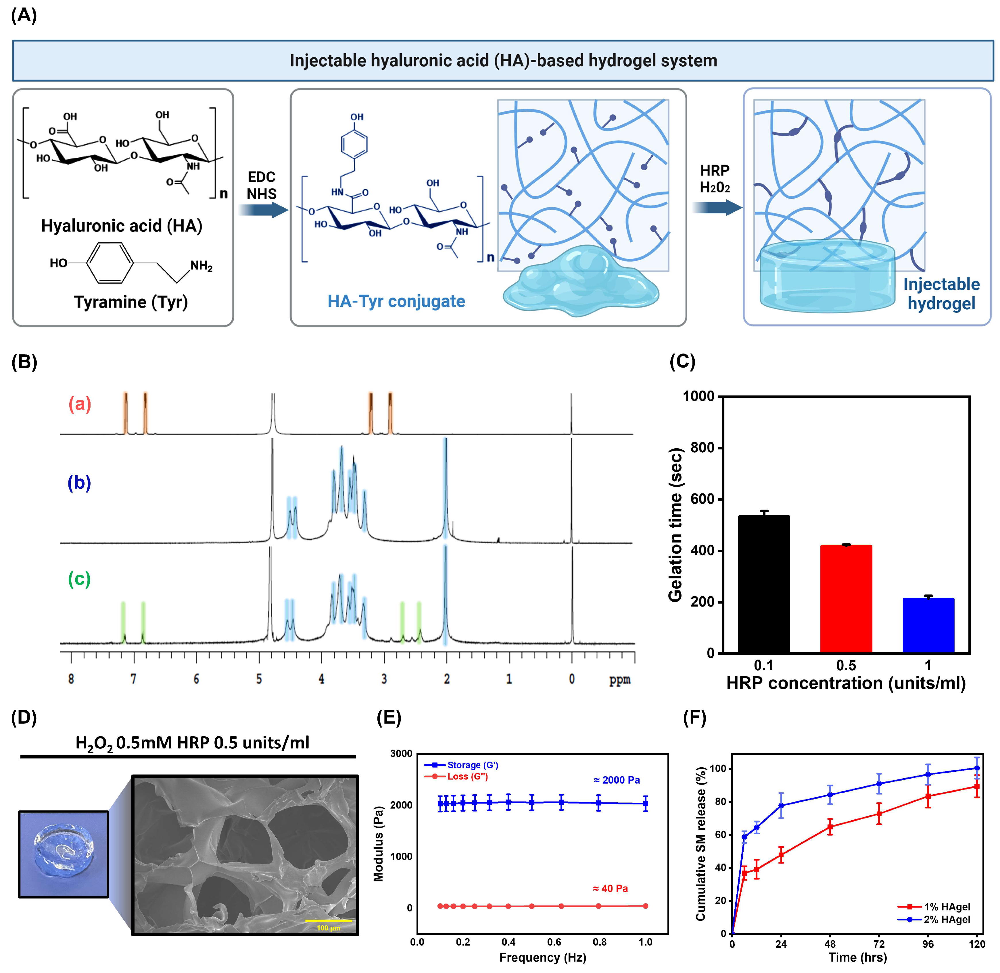 Ijms 25 10615 g003 Ijms 25 10615 g003