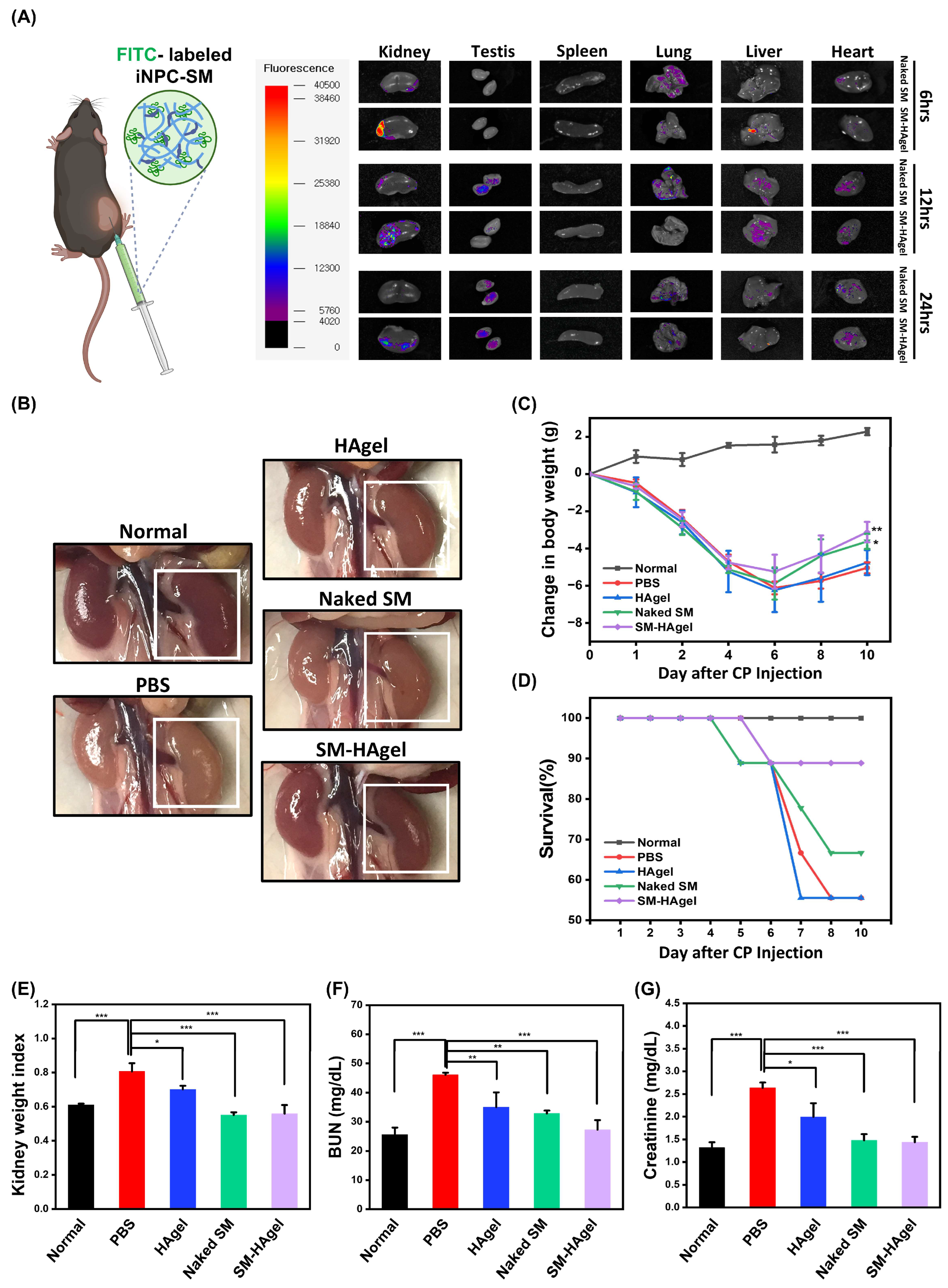 Ijms 25 10615 g004 Ijms 25 10615 g004