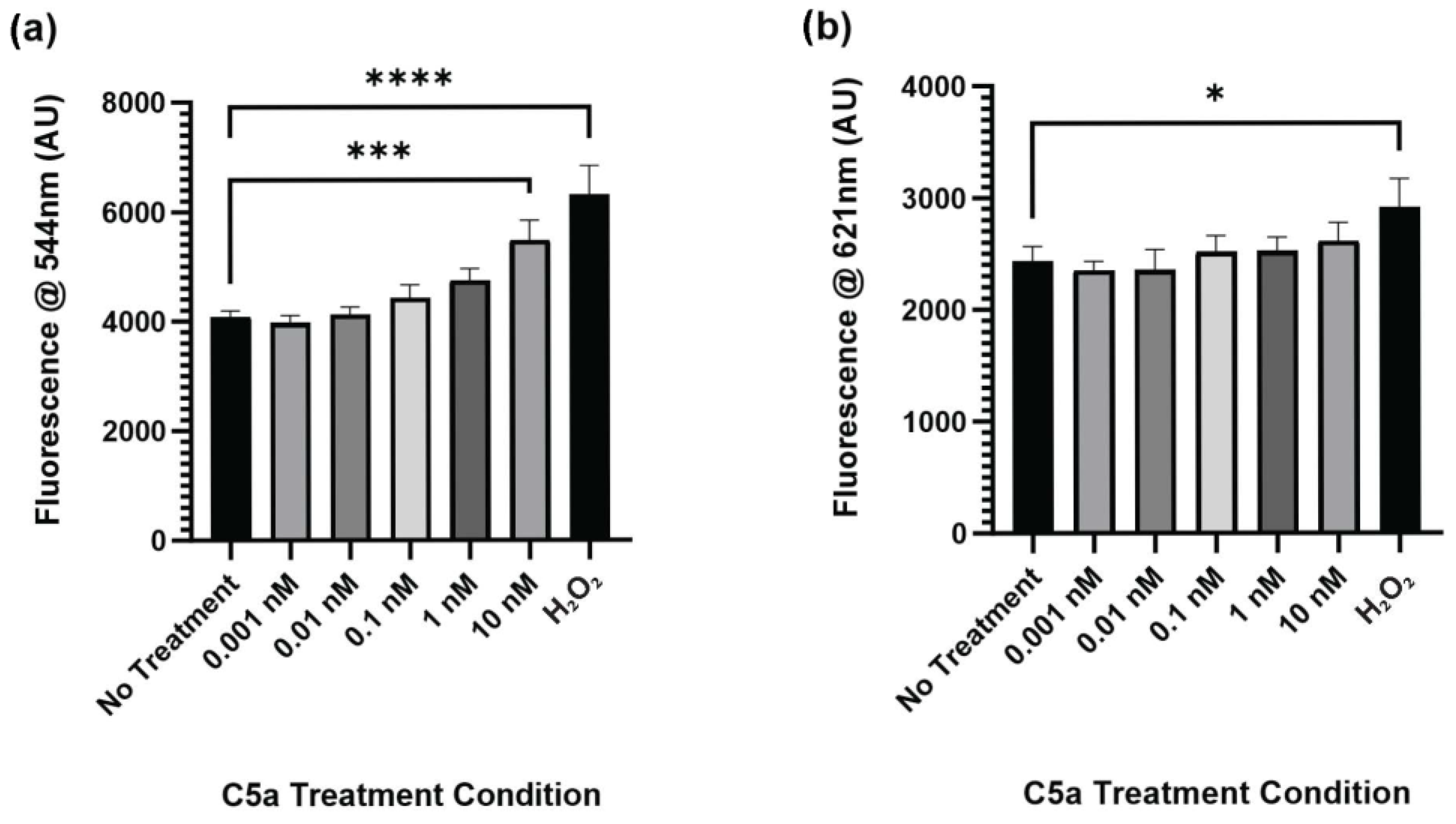 Ijms 25 10673 g001 Ijms 25 10673 g001