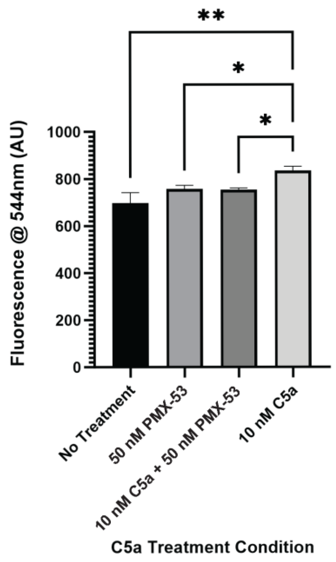 Ijms 25 10673 g003 Ijms 25 10673 g003