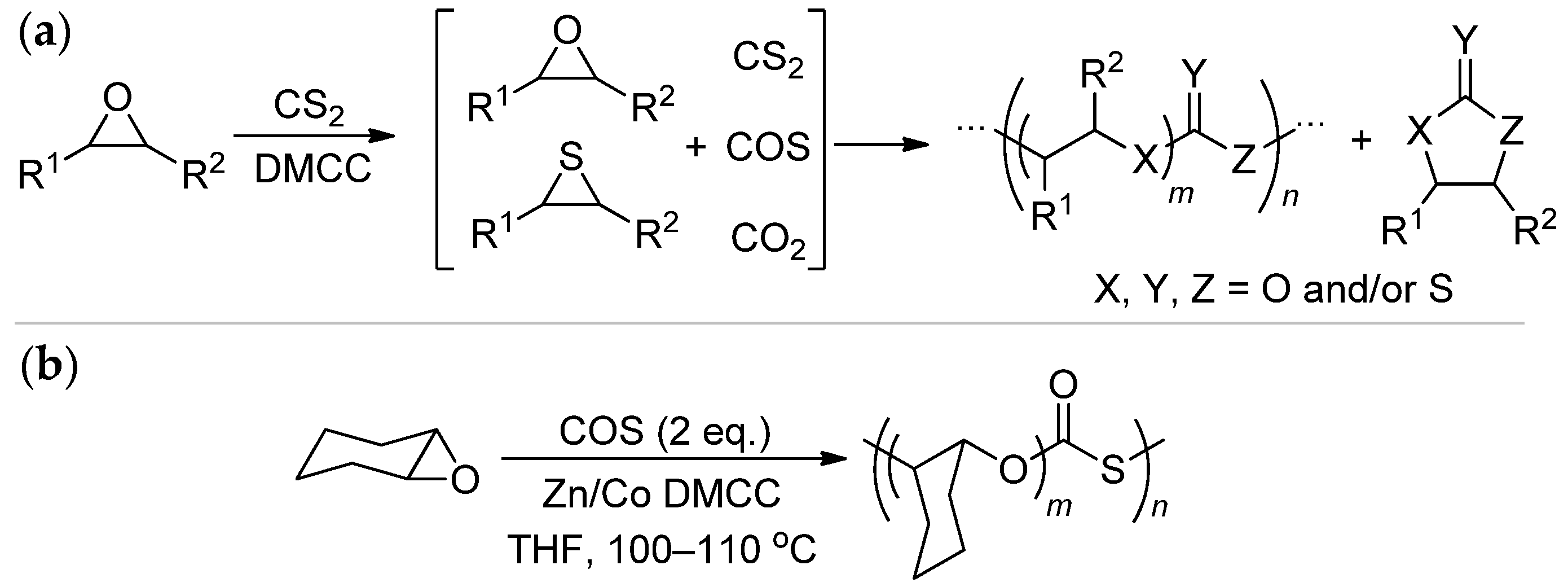 Ijms 25 10695 sch011