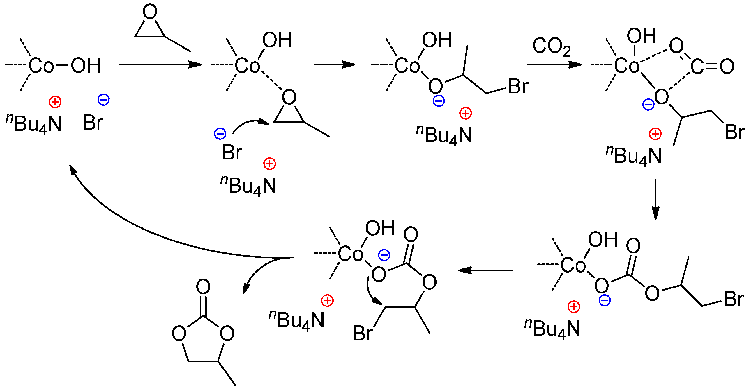 Ijms 25 10695 sch017