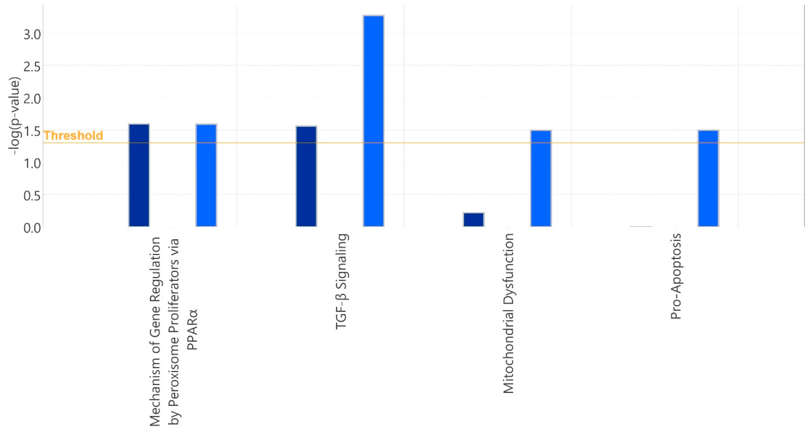 Ijms 25 10714 g002 Ijms 25 10714 g002