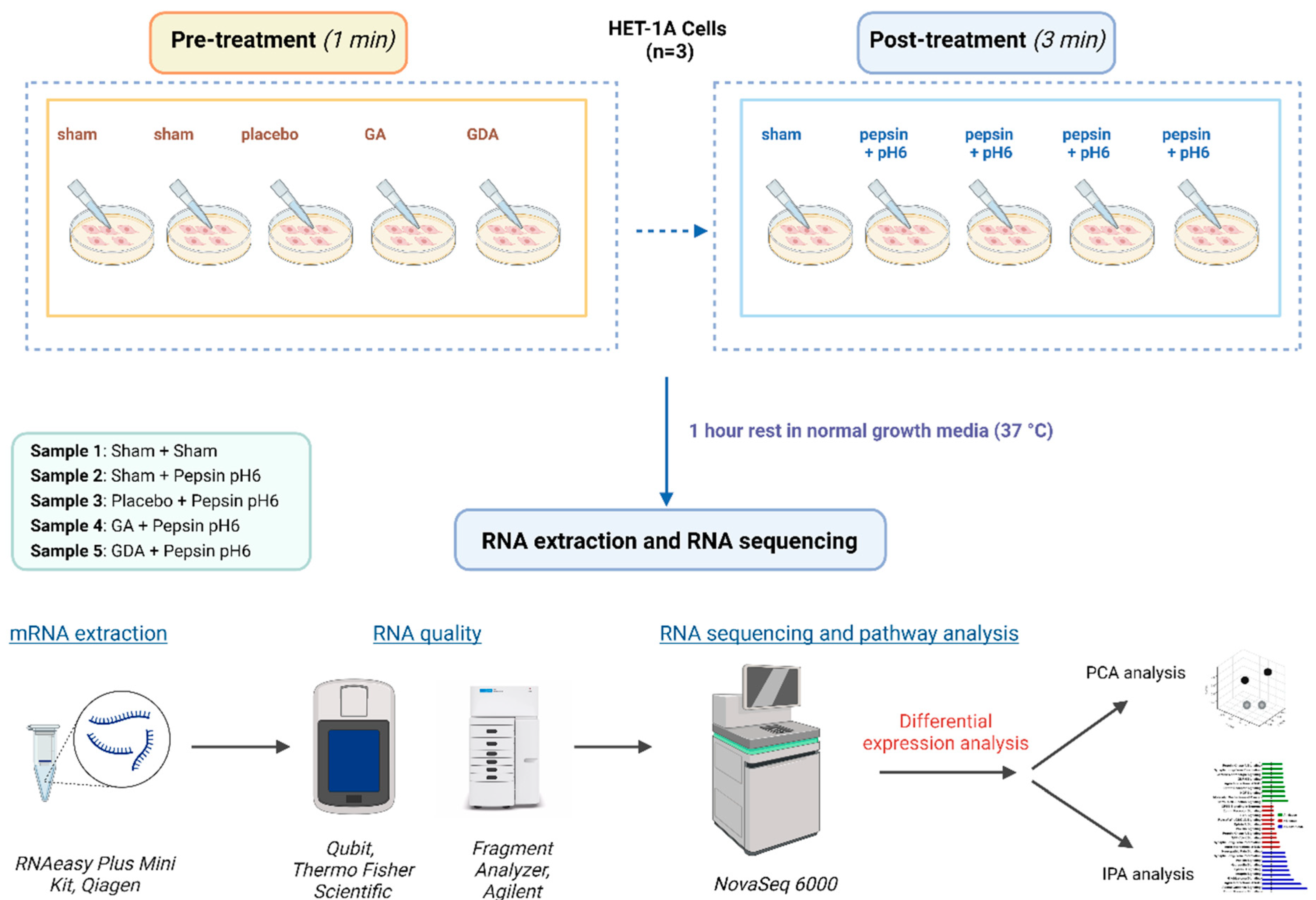 Ijms 25 10714 g003 Ijms 25 10714 g003