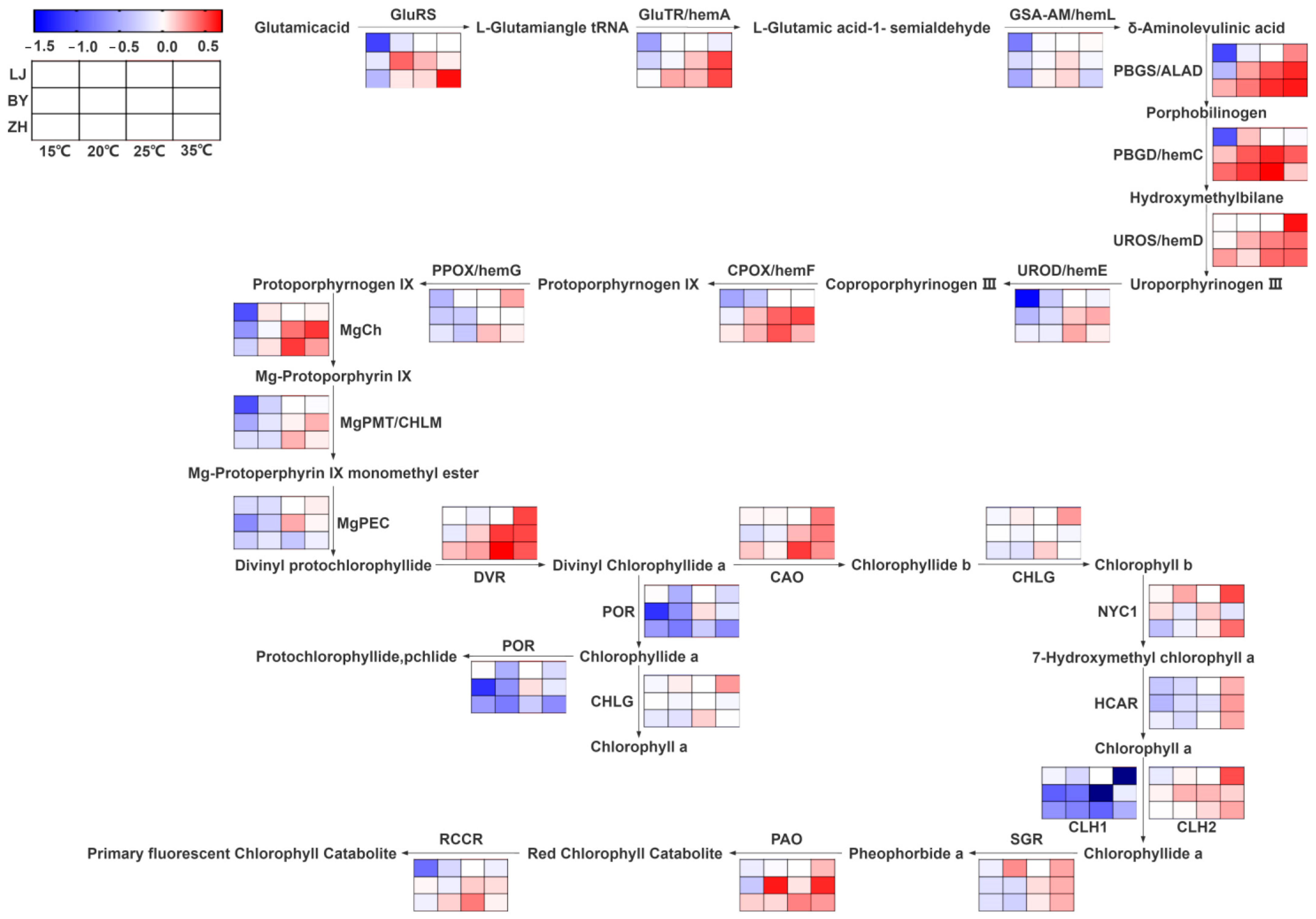 Ijms 25 10772 g004 Ijms 25 10772 g004